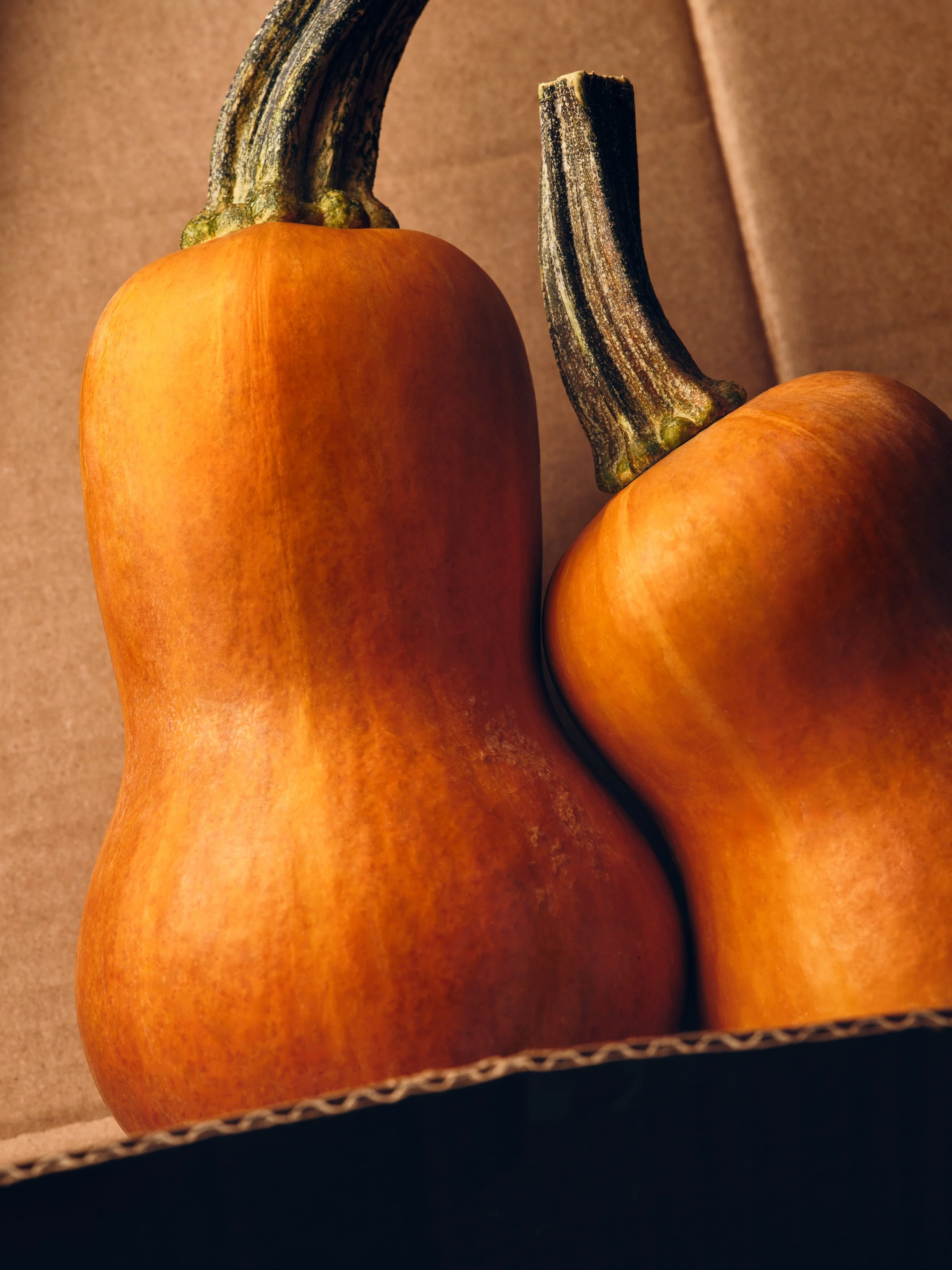 25-09 3328-12B GDH_INS SQUASH 01029.JPG