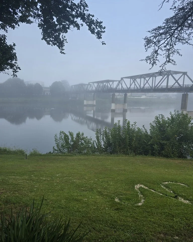 A foggy start at The Pantry today. This means a stunning day ahead. We have tables free today, and balmain bug rolls. See you for a brunch and coffee by the Macleay. Don't forget we are now byo!!!