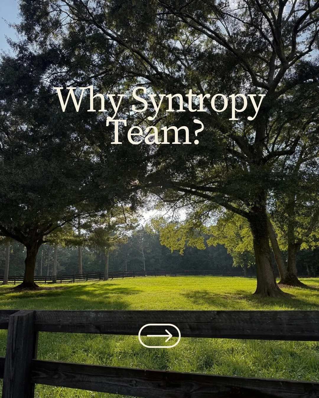 In the natural world, Syntropy is the drive toward increasing complexity, fertility, and vitality. 

 In a diverse garden, trees, flowers, and food crops do not compete&hellip; they cooperate. Each one adding to the vitality of the whole.

In real es