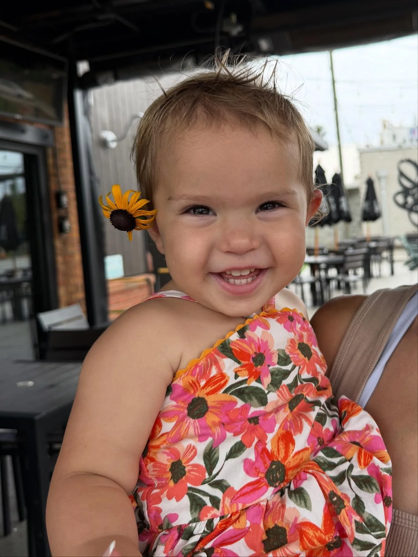 Meet Hana June🌻

She comes with us to closings, the occasional showing, and definitely overhears all of our real estate banter, strategy, and even debates! 

She&rsquo;s our tiniest team member but already keeping us on our toes. 

And don&rsquo;t w