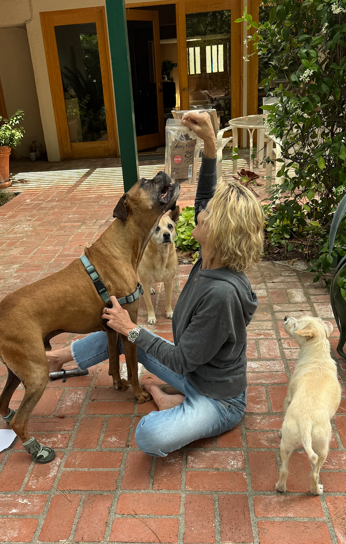 Screenshot 2025-07-07 at 4.58.17 PM.png