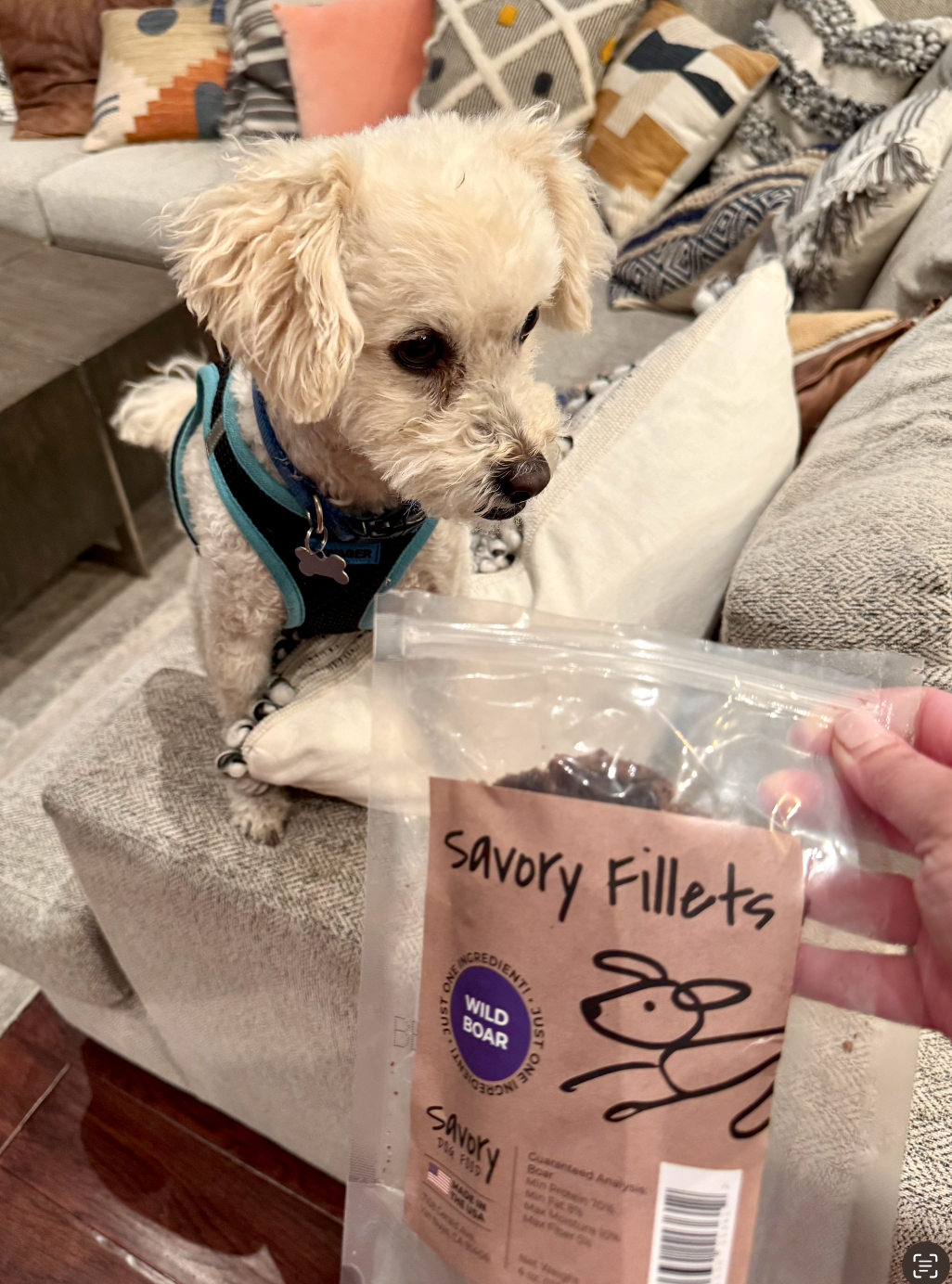 Screenshot 2025-07-07 at 4.51.29 PM.png