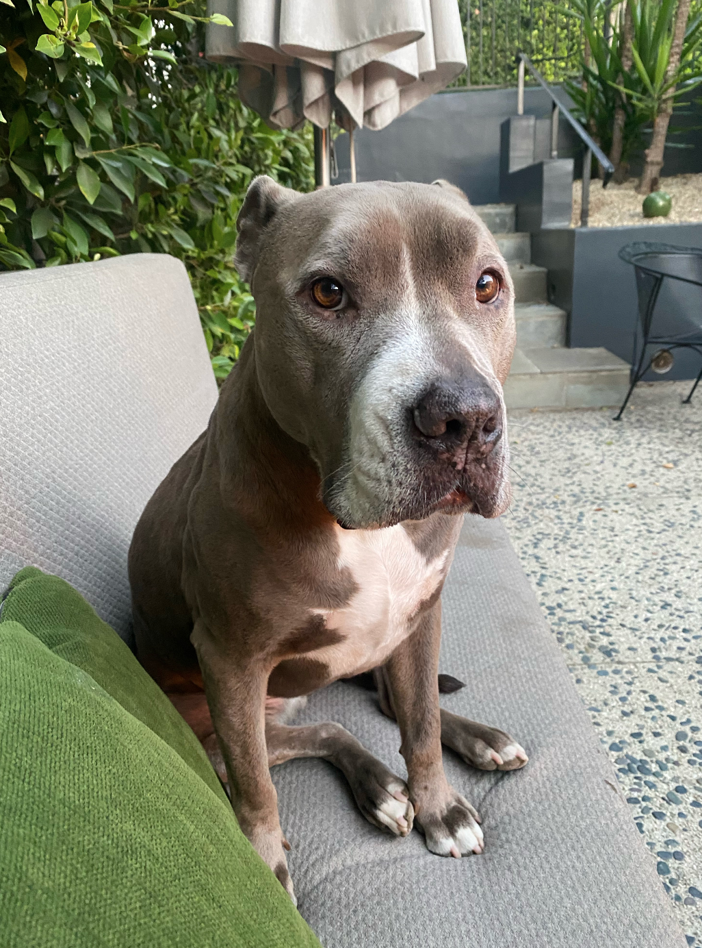 Screenshot 2025-07-07 at 7.40.05 PM.png