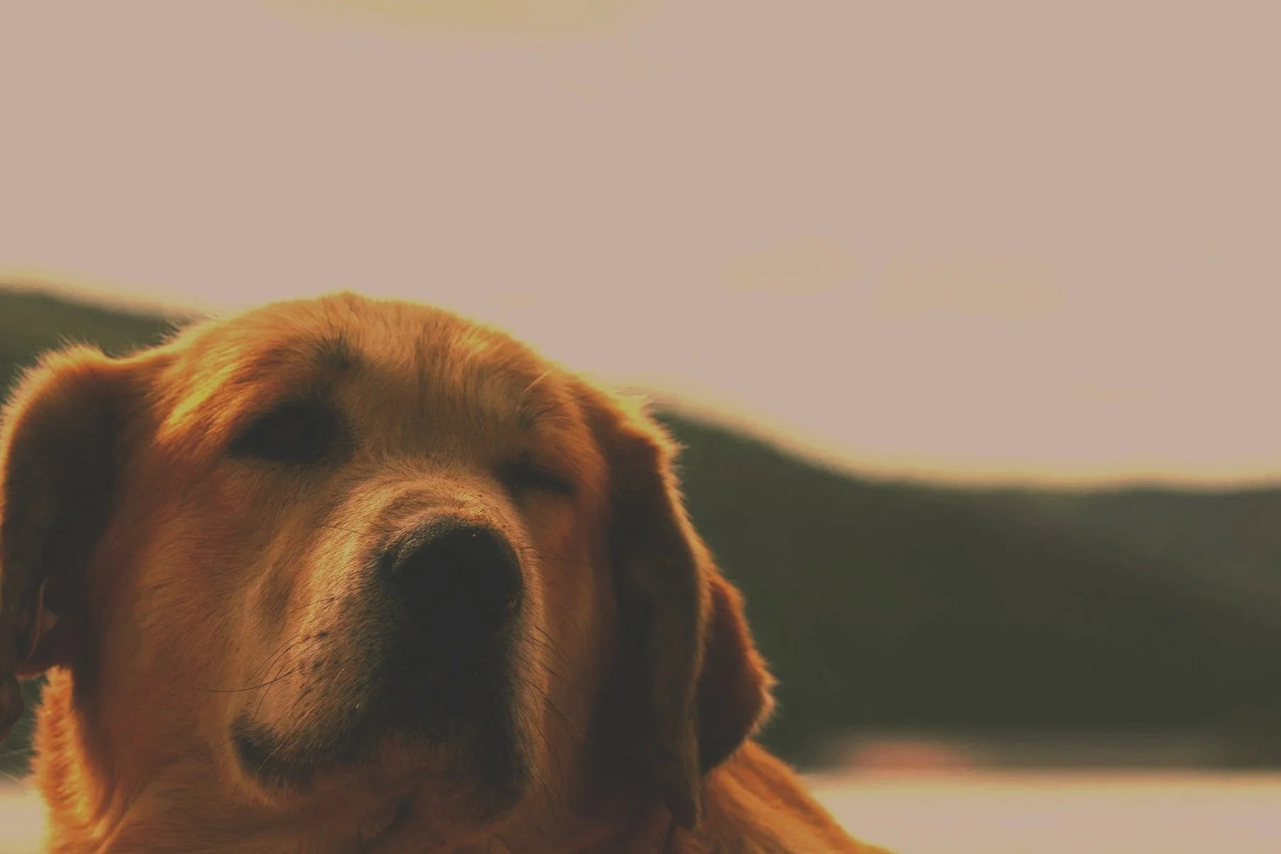 Reader Pet Peeves: Spring 2026