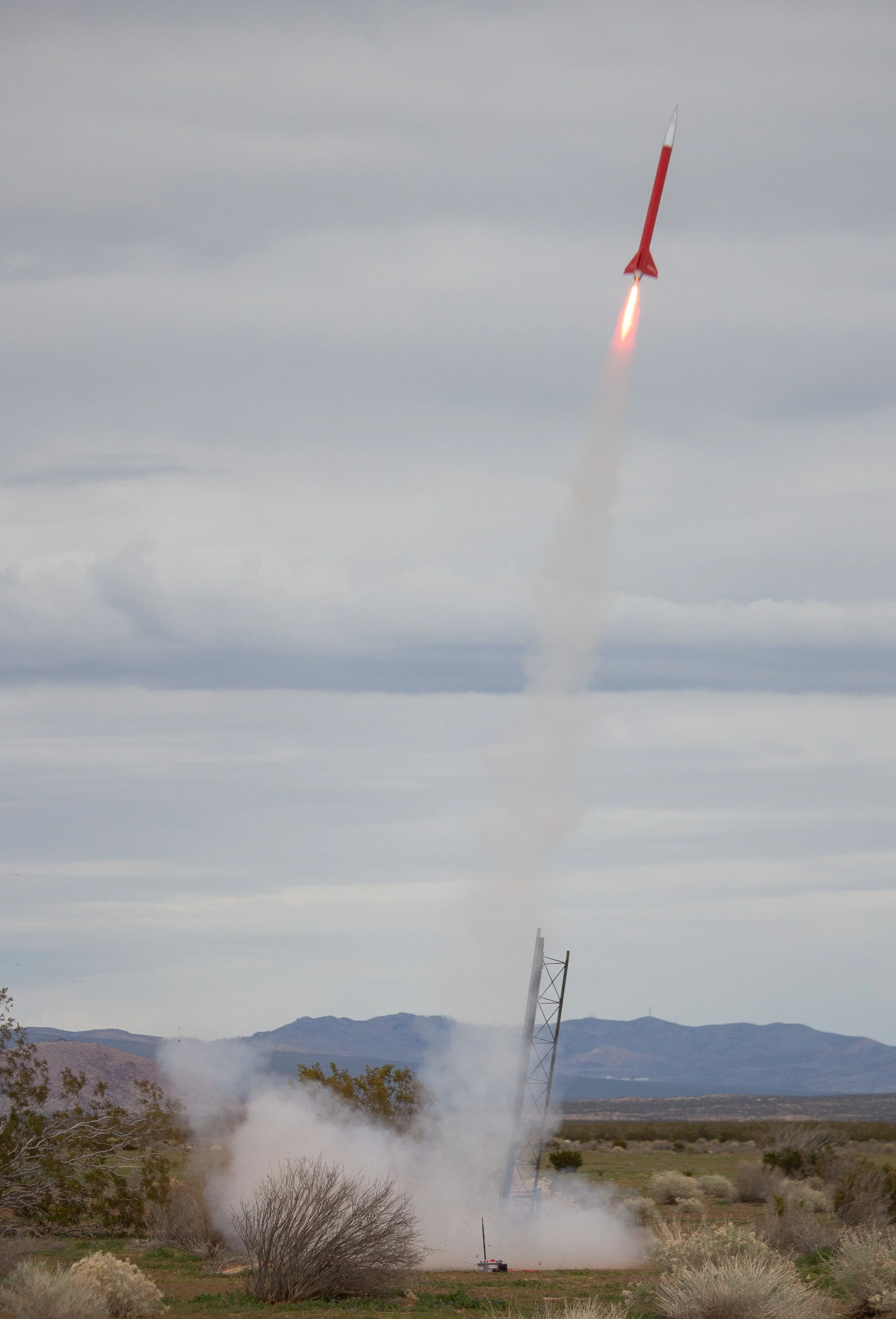 Photo Credit: Michaella Tyler
Instagram: @michaellaseephotography