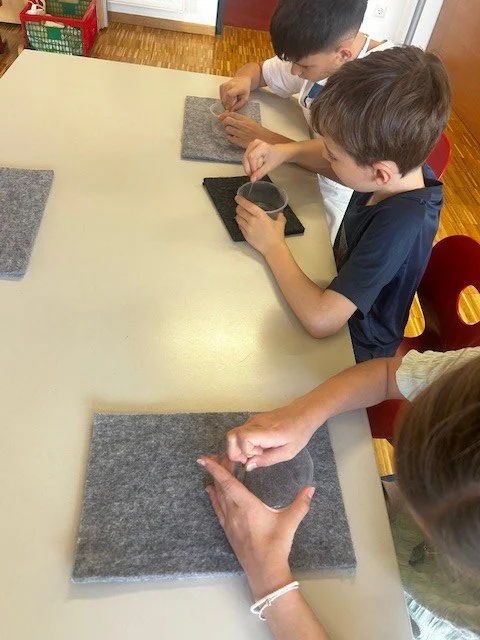 Käse herstellen 5.jpg