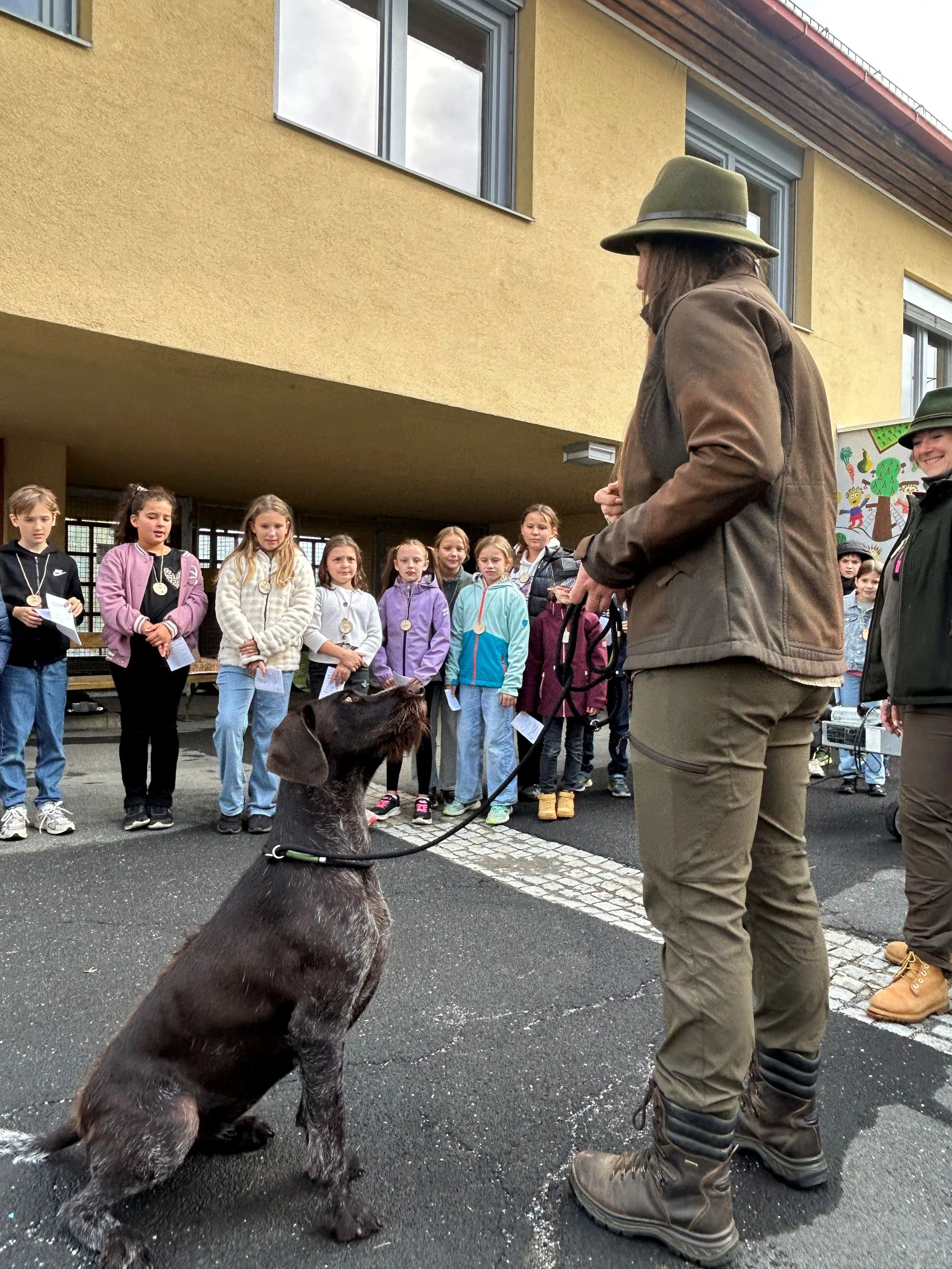 Hund 1.jpg