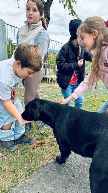Hund 2.jpg
