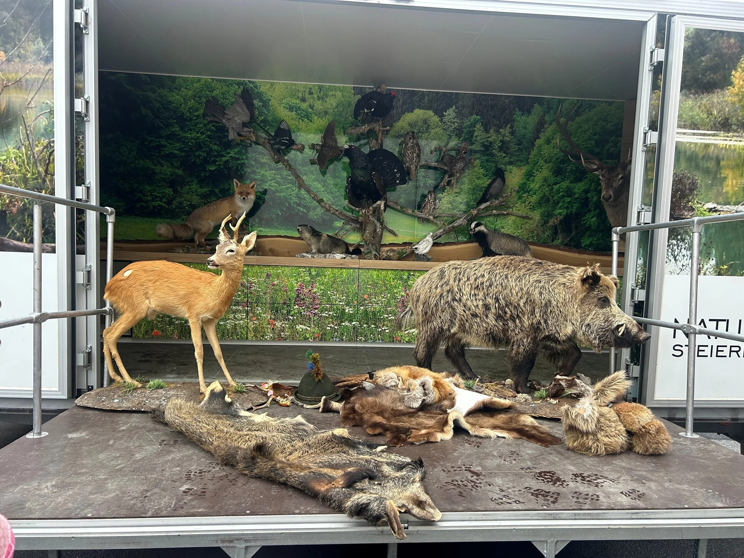 tiere.jpg