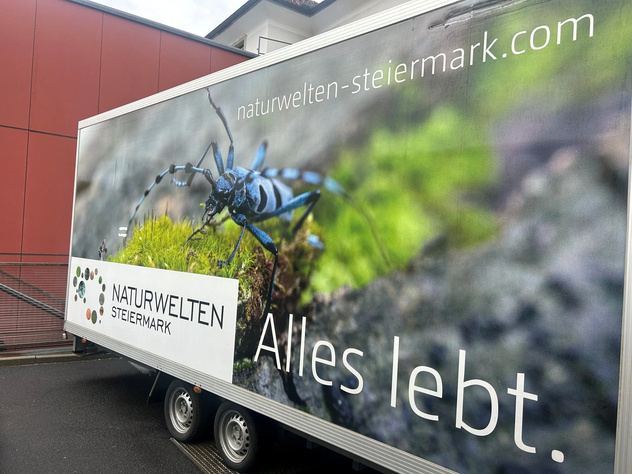 wagen 2.jpg