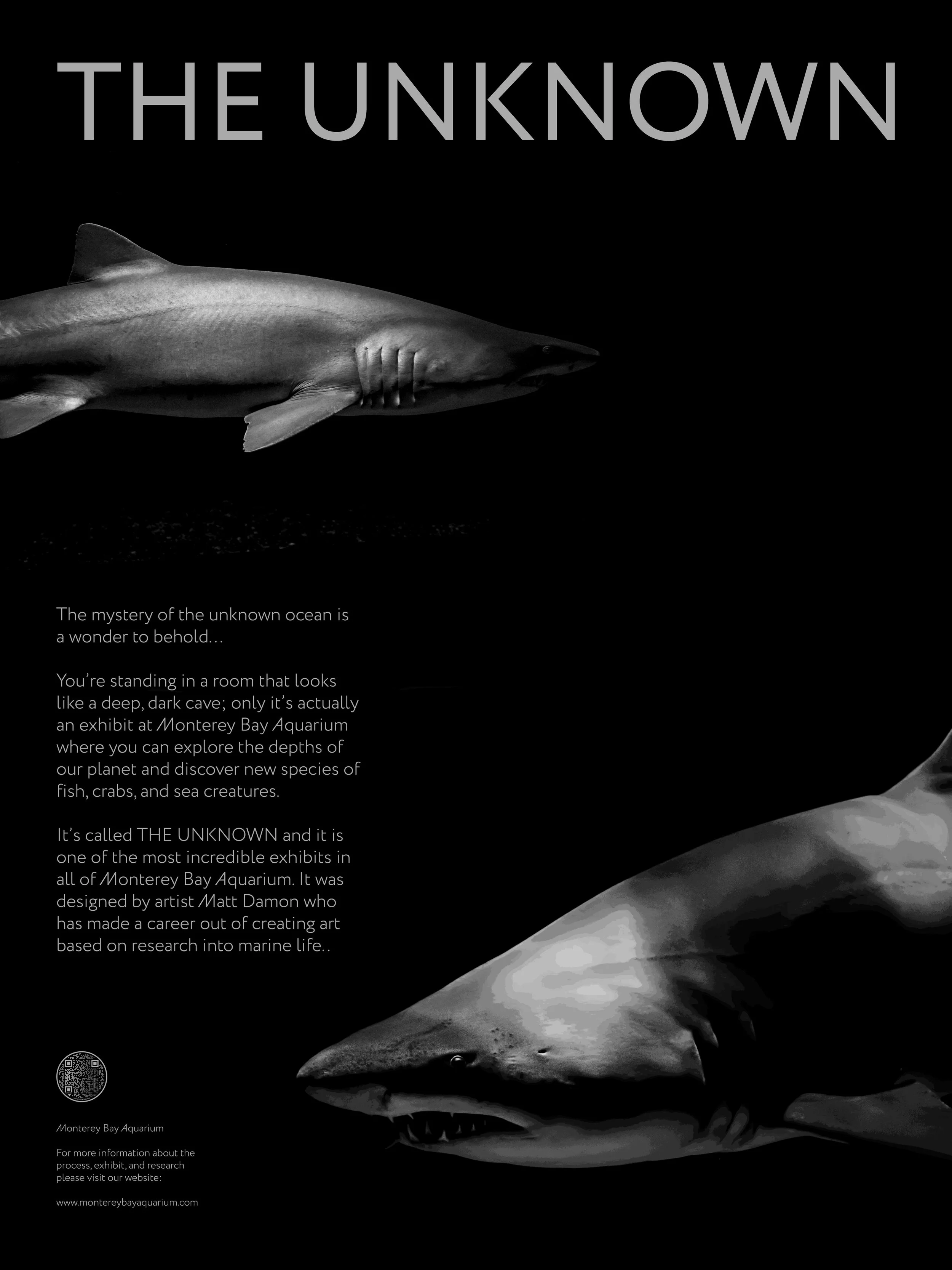 Shark-Poster_THEUNKOWN.jpg