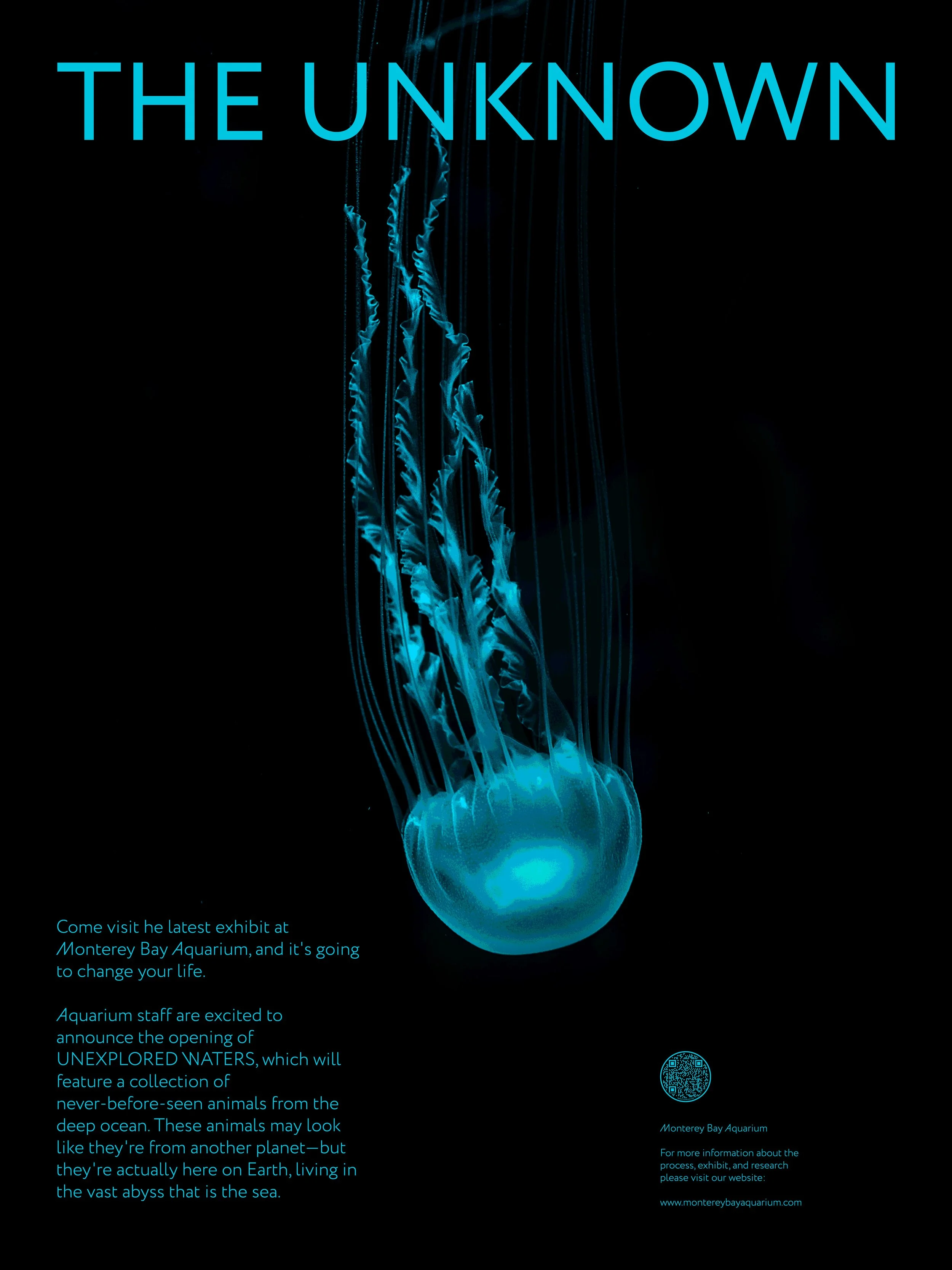 Jellyfish-Poster_THEUNKOWN.jpg