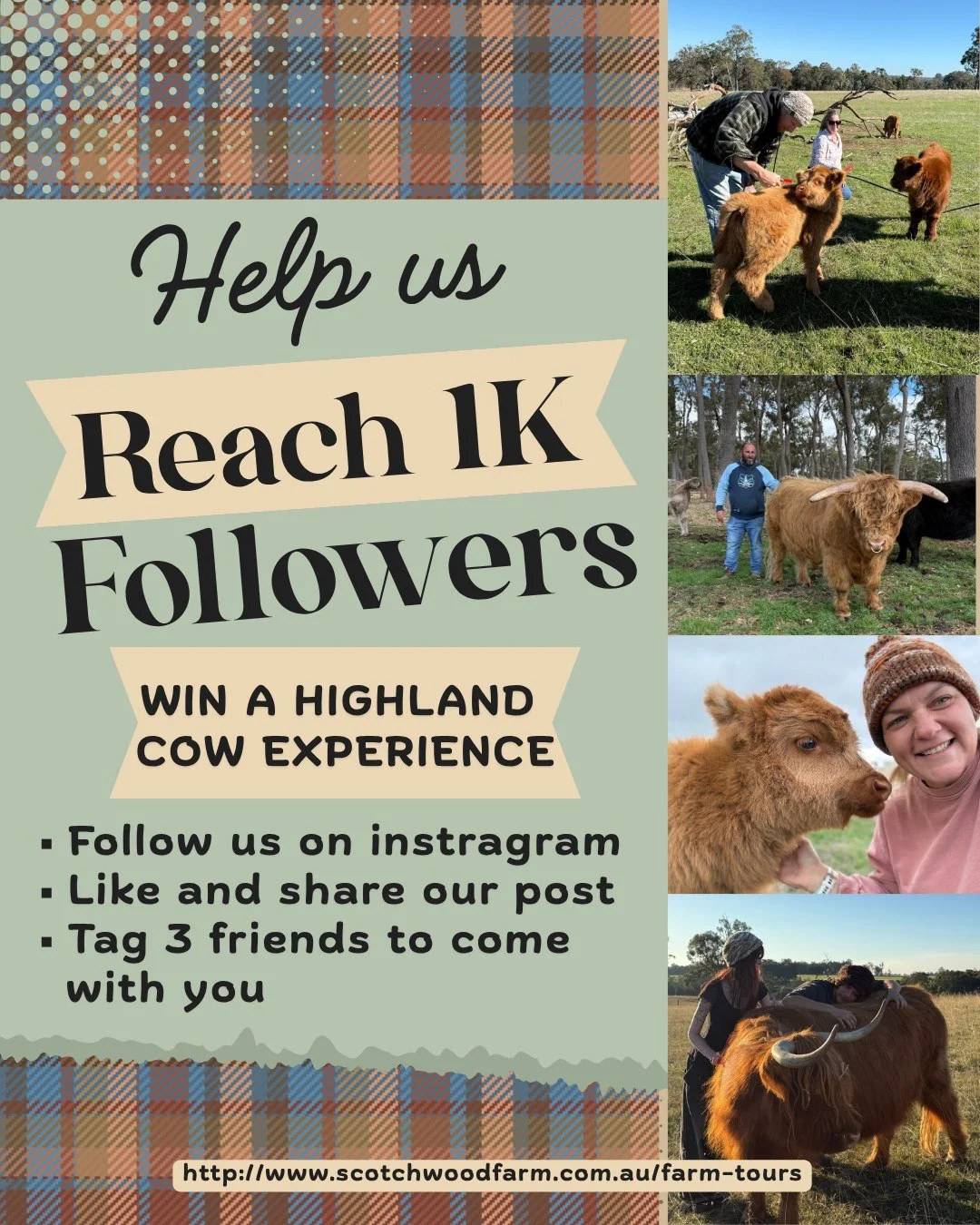 We are so so close to 1K followers!! 
Can you help us reach our goal? 
If you do, you have the chance to win a Highland cow experience for up to 4 people in southwest WA!! 

T&amp;C
Tour to take place within 4 weeks of winner annoucement.
Minimum age