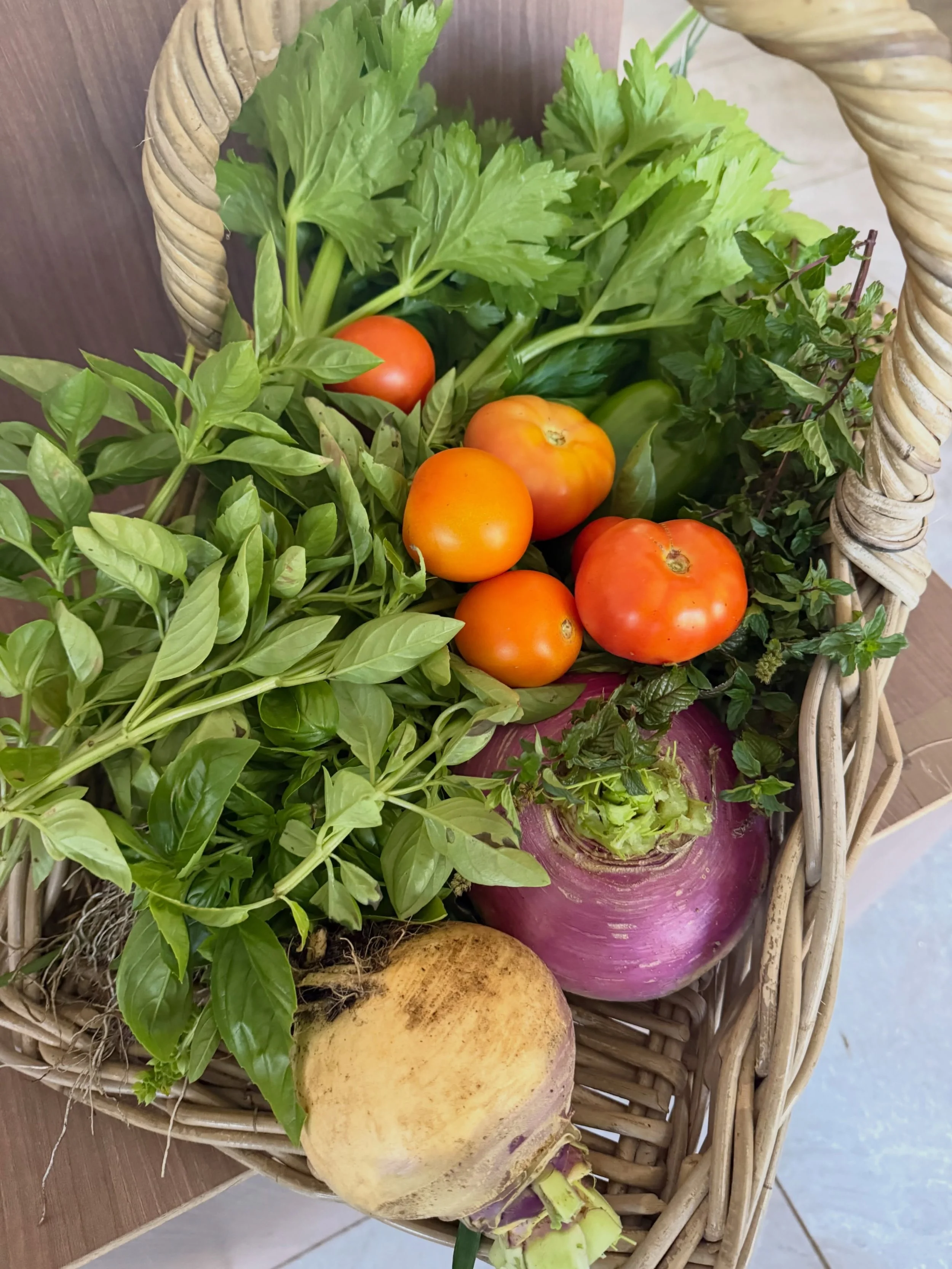 Such abundance in the garden at the moment&hellip; it&rsquo;s been like a second spring, we&rsquo;ve  had such sunny days of late. Im longing for more rain🌧️ 
I&rsquo;m sure it will come soon enough and then I&rsquo;ll be longing for the sun ☀️ 😂 
