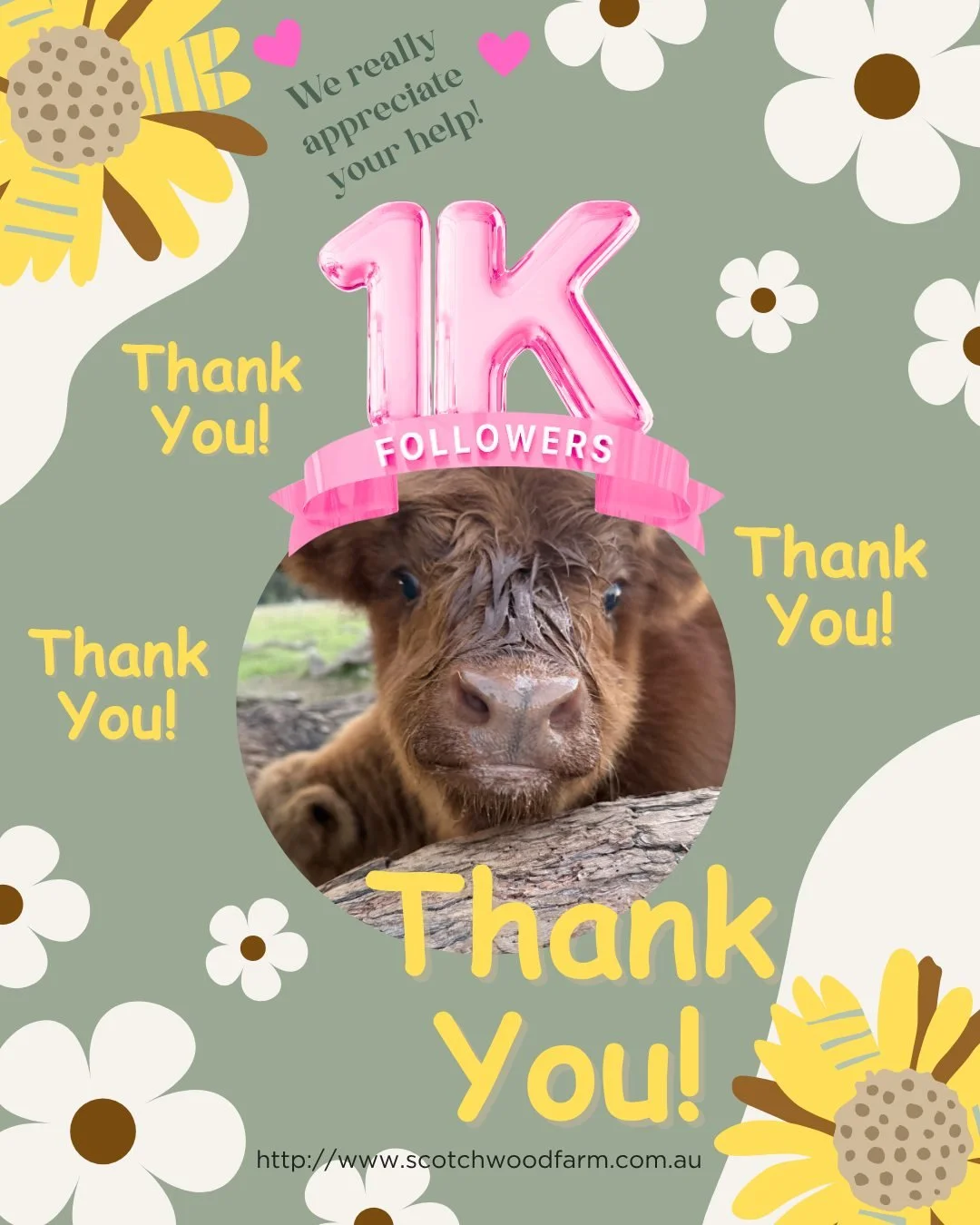 1,000 followers&hellip; wow 🥹🎉

Thank you so much for following along with our little farm journey here at Scotchwood Farm. From fluffy Highland coos and cheeky chickens to all the muddy boots, laughs and cuddles in between, we appreciate every sin