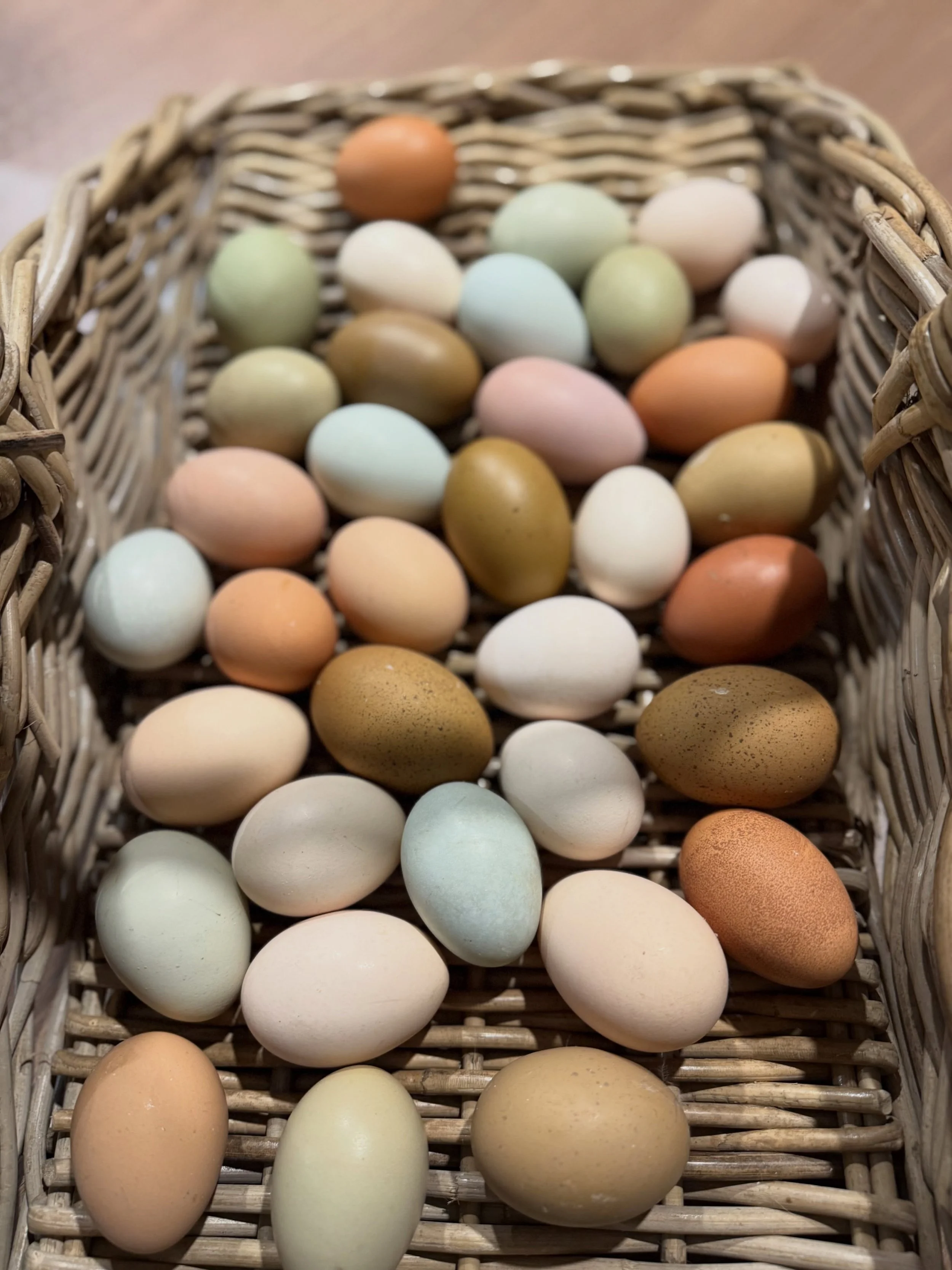 The new girls are really putting out! 🤭 Our pullets have officially started laying and suddenly we&rsquo;ve gone from potential egg shortages to overflowing cartons 🥚 Usually this time of year production starts slowing down, so I&rsquo;m definitely