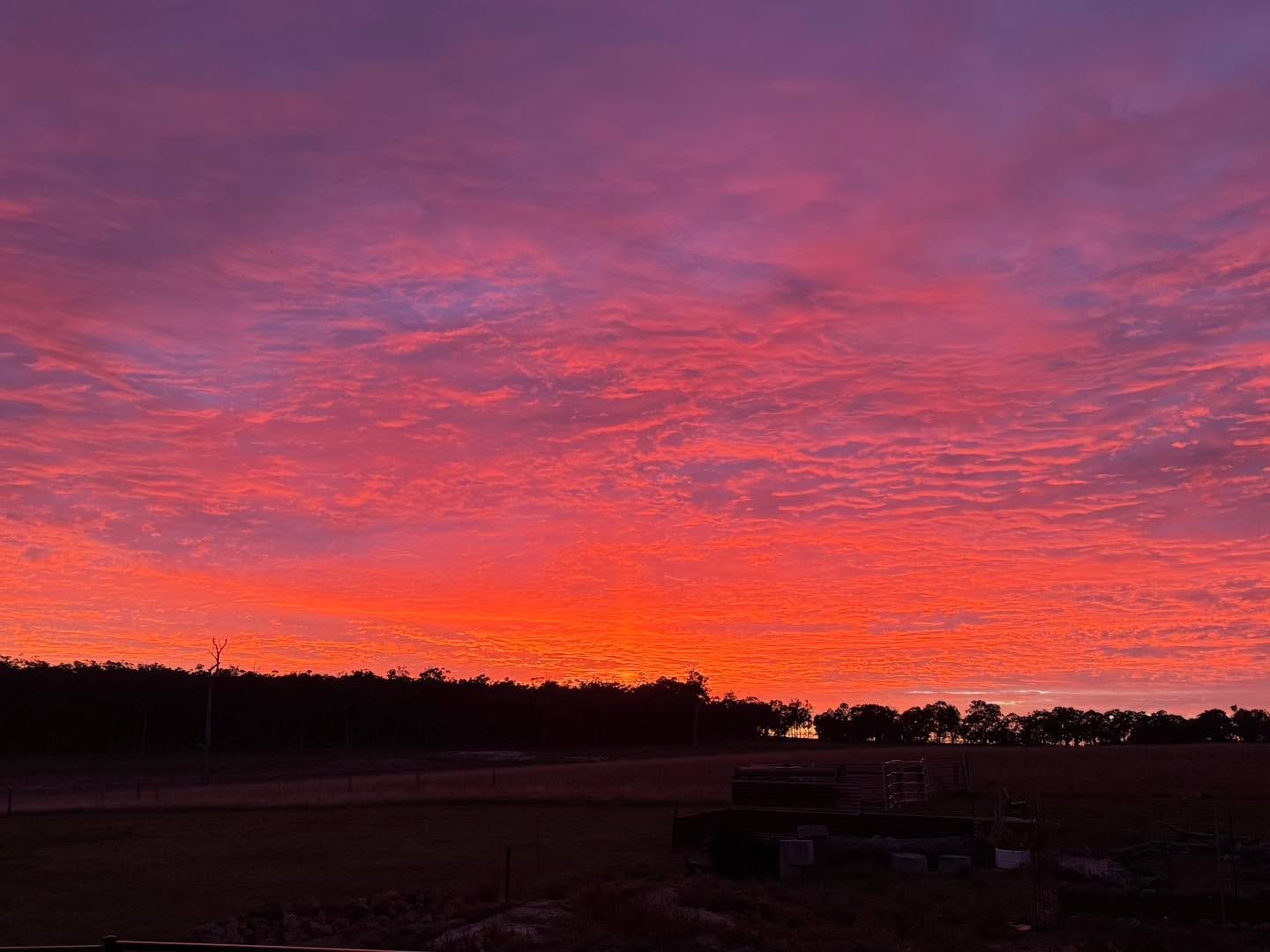 The morning sky right now 🤩
Even this photo doesn&rsquo;t come close to doing it justice&hellip; it&rsquo;s about 100x better in real life ✨

#sunrise #morningsky #countrylife #farmsunrise #ruralaustralia #highlandcows #farmlife #naturelovers #skylo
