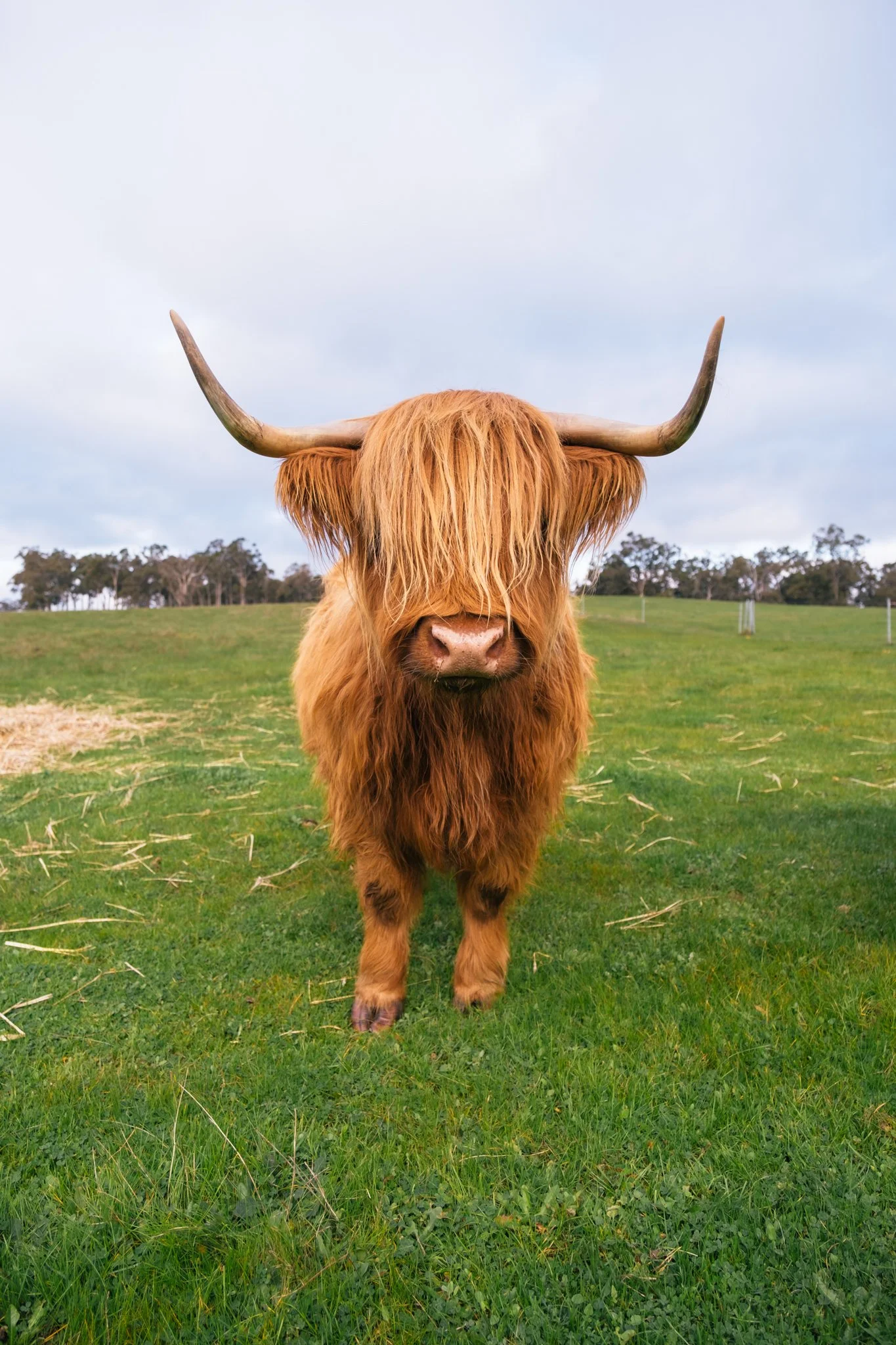 Highlands-4-2.jpeg