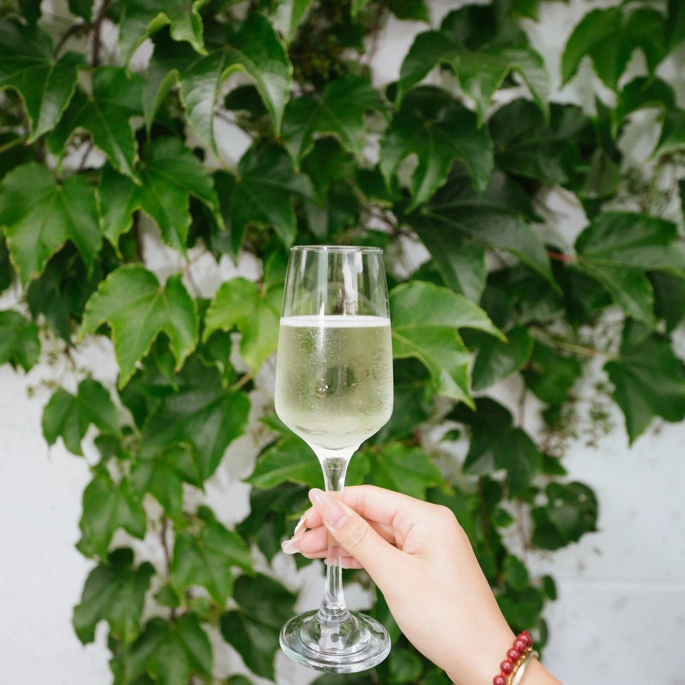 🥂 FRIDAY HAPPY HOUR STARTS 3PM 🦪
Let&rsquo;s celebrate the end of the week the right way &mdash; with $10 Prosecco and $3.50 oysters, served fresh and fabulous.
✨ Good vibes, great company, and a little sparkle to your afternoon.
📍 See you from 3p