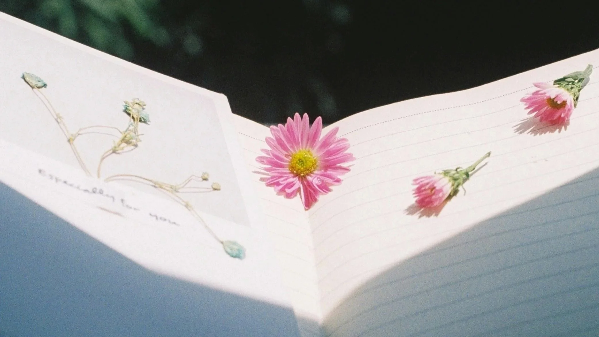 I Didn’t Think I Was an Artist. Then I Read This Book.