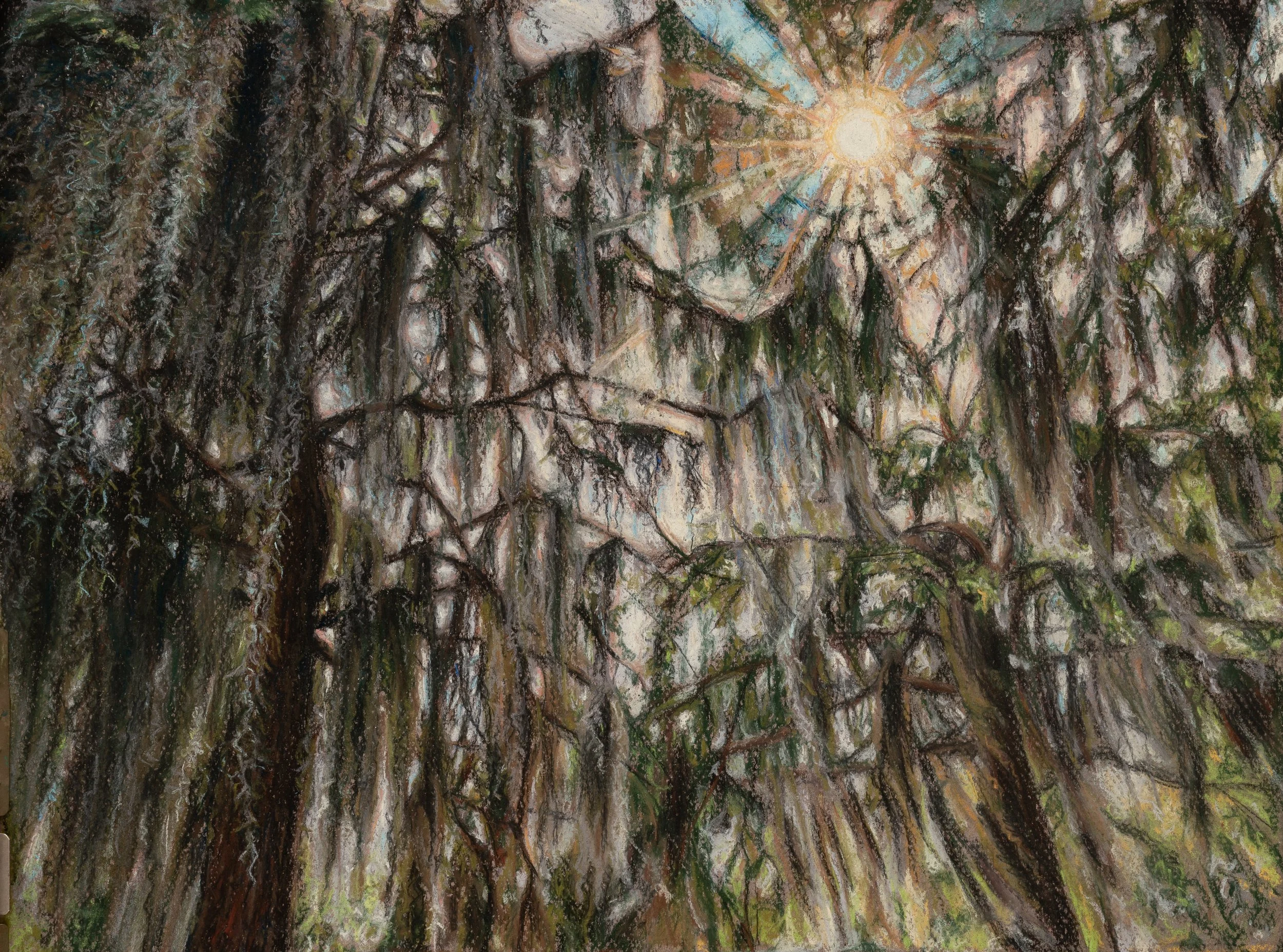 sun, pastel on paper, 2020