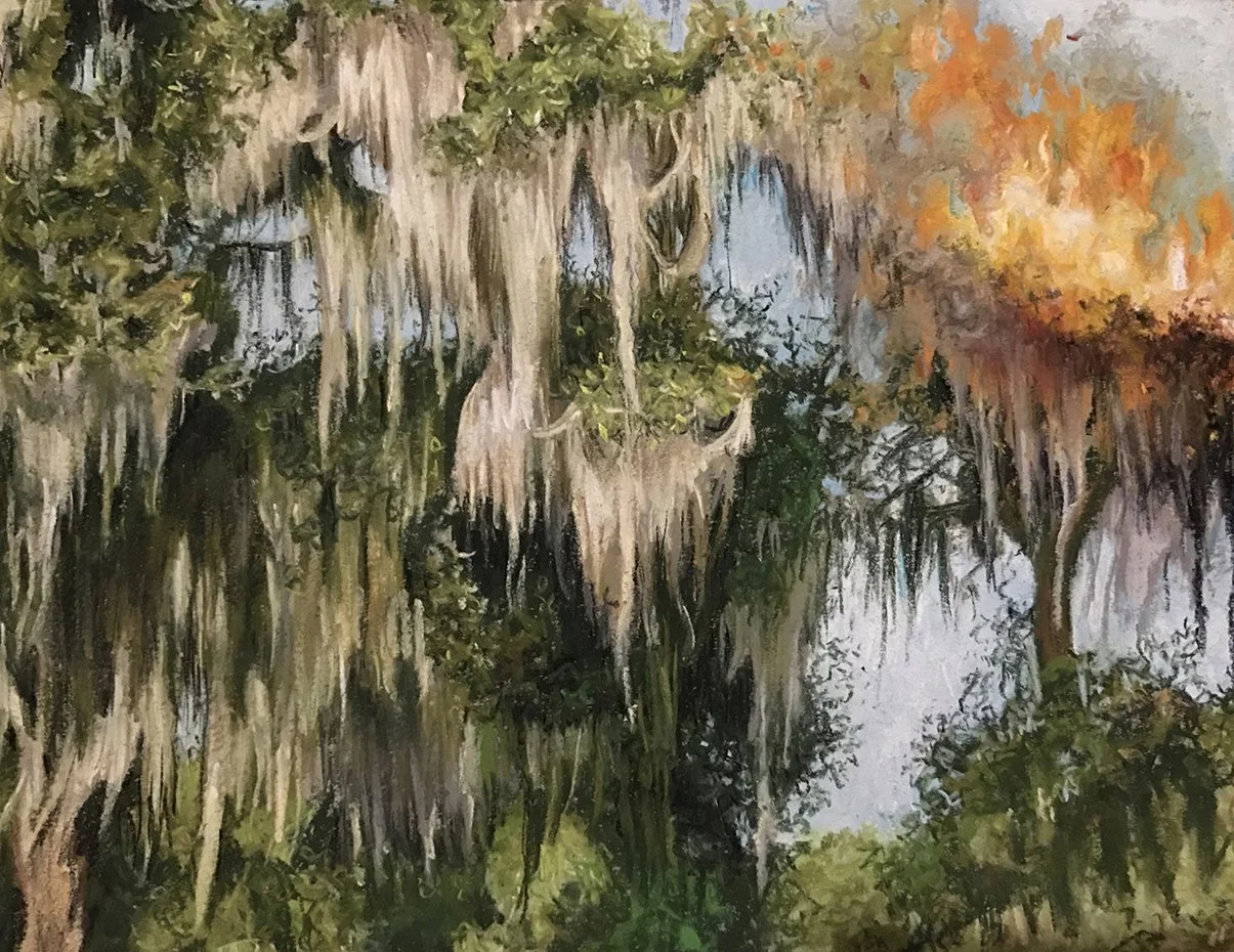 spanish moss, pastel on paper, 2018