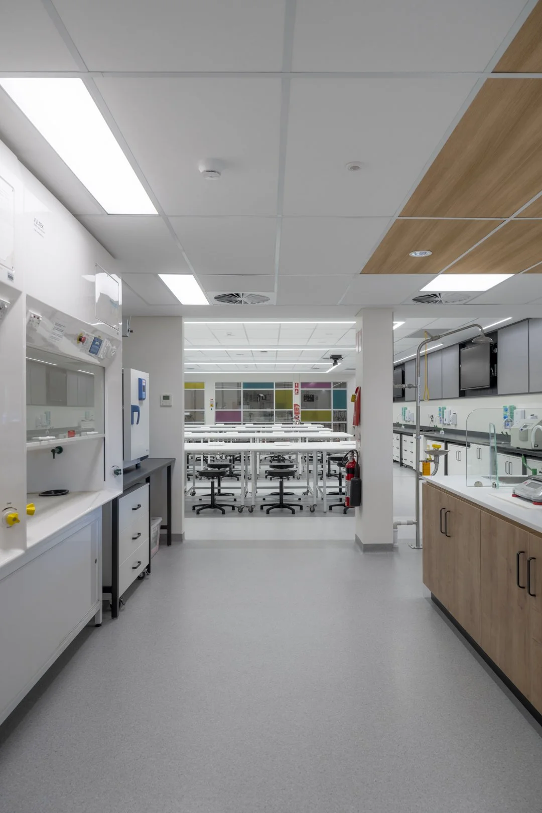 WSU-Richmond_Hunter-Mason_SML-9.jpg