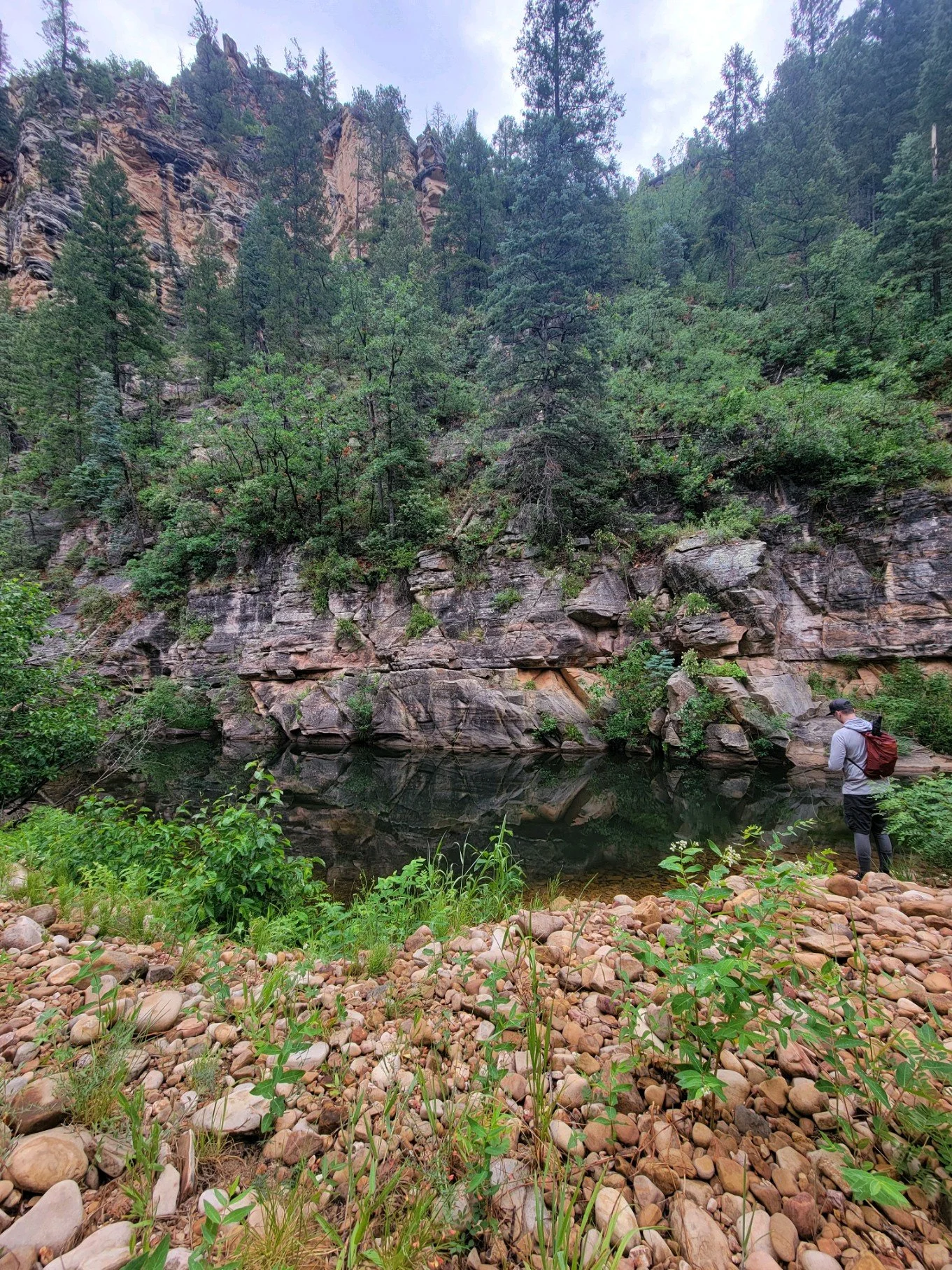 Mogollon Rim | 2 nights