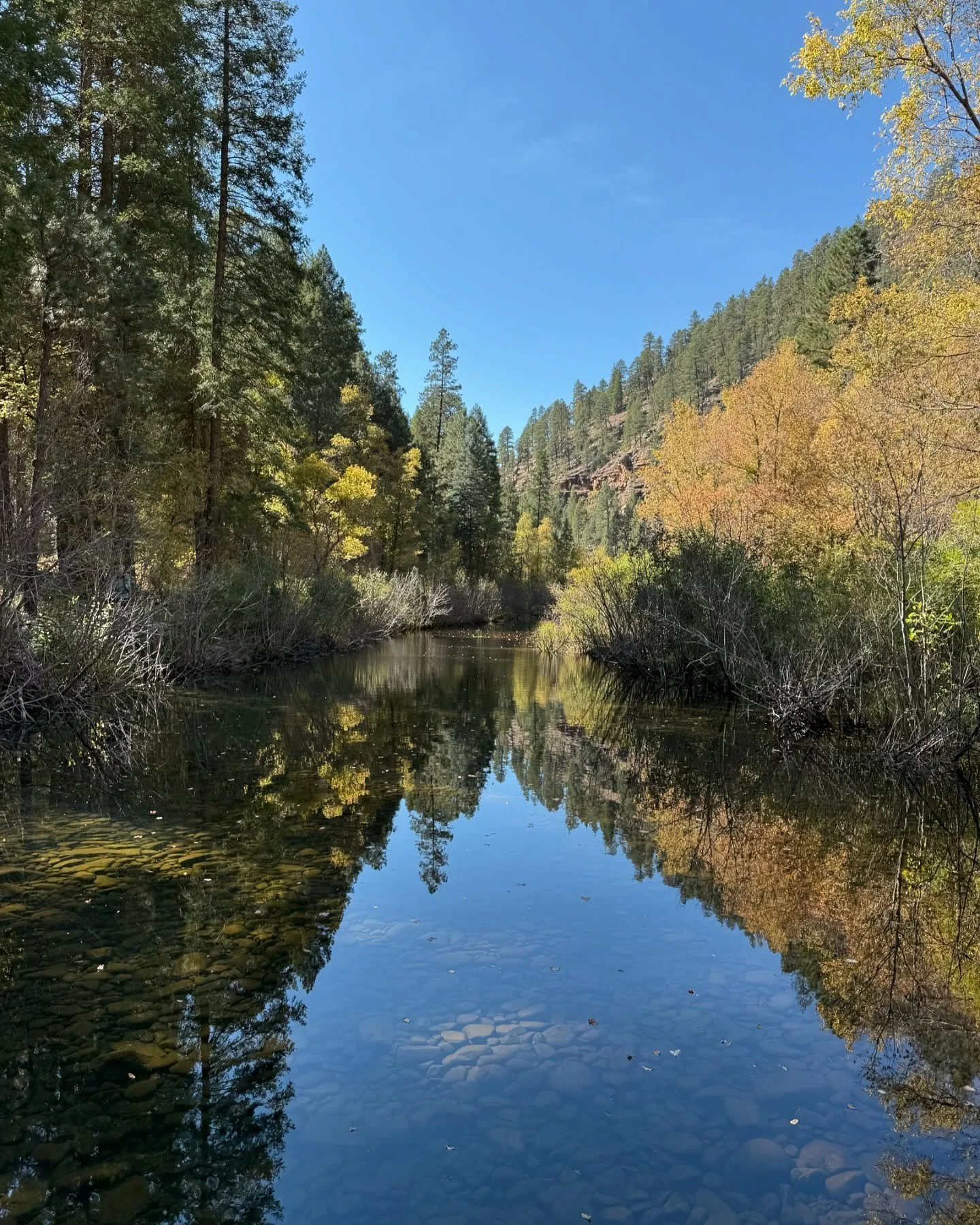 Fall is starting to show off