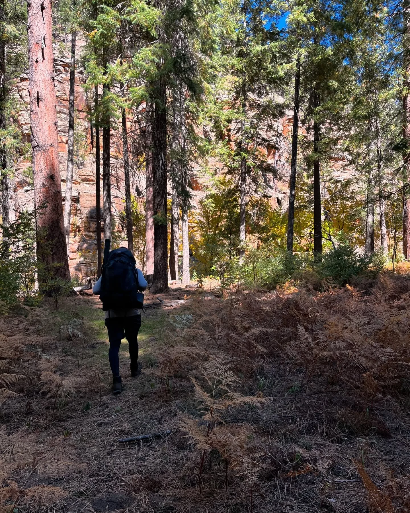 If you love backcountry recreation, especially backpacking, Arizona is a pretty awesome place to find yourself in. Check out our latest blog on our website about how the Copper State has some unique features that help it stand apart. backpackarizona.