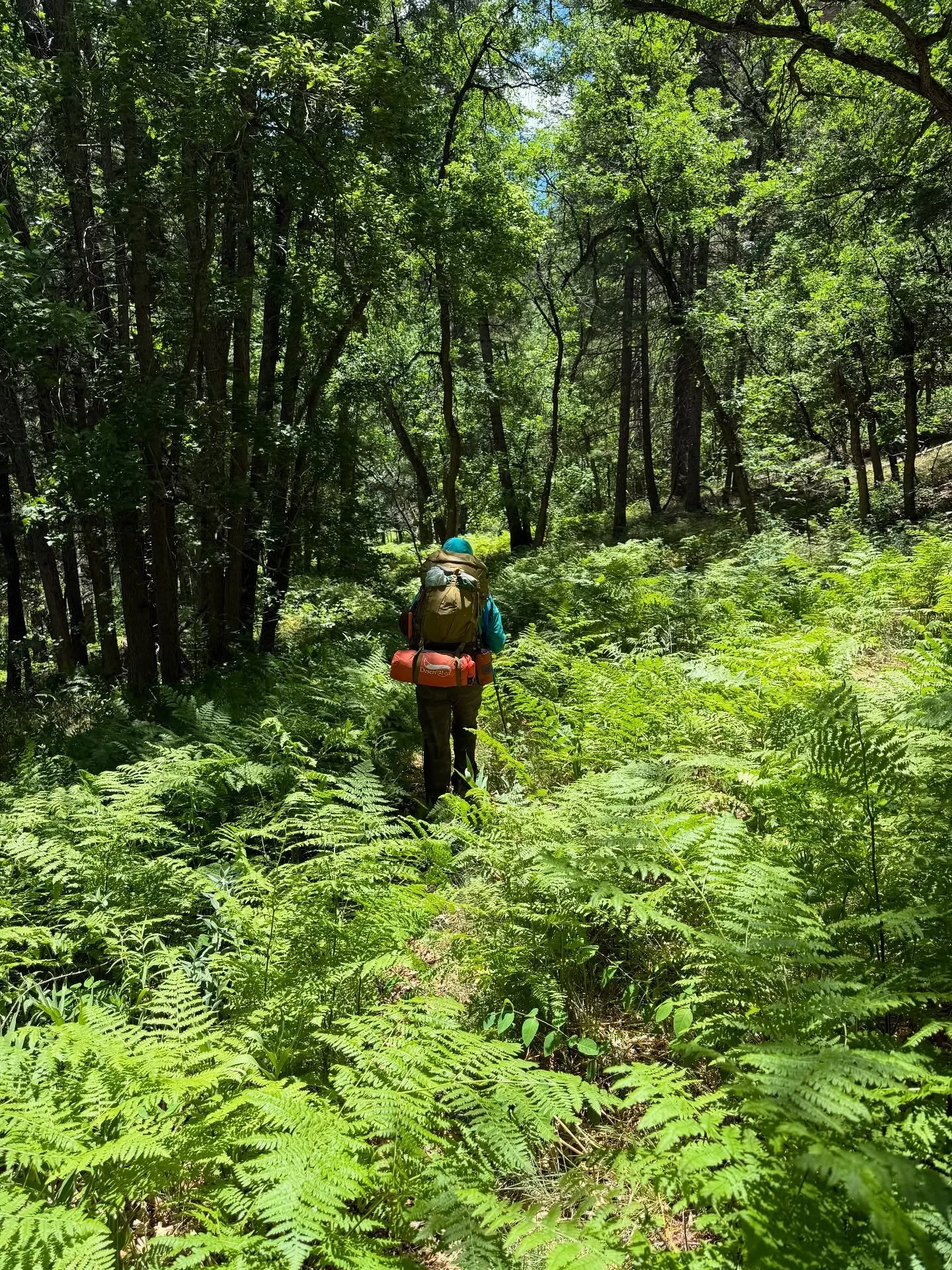 Backcountry guiding is easily one of the best things I’ve done with my time and energy. I’ll never tire of watching people immerse themselves into something new so they may experience the awe of nature from a new lens.