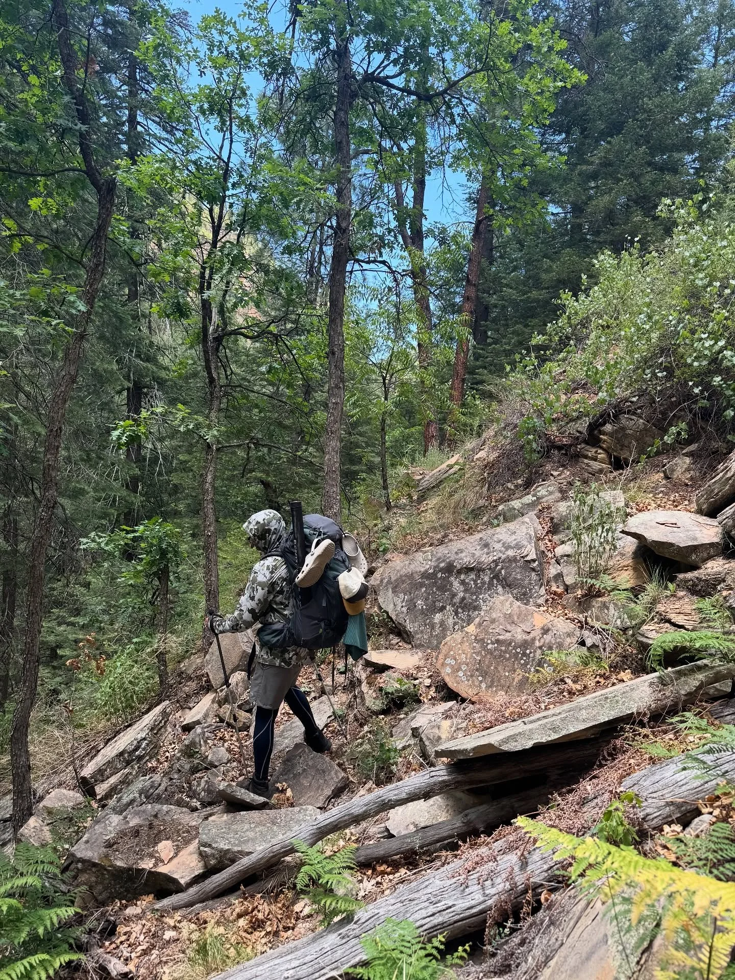Thriving on sketchy trails