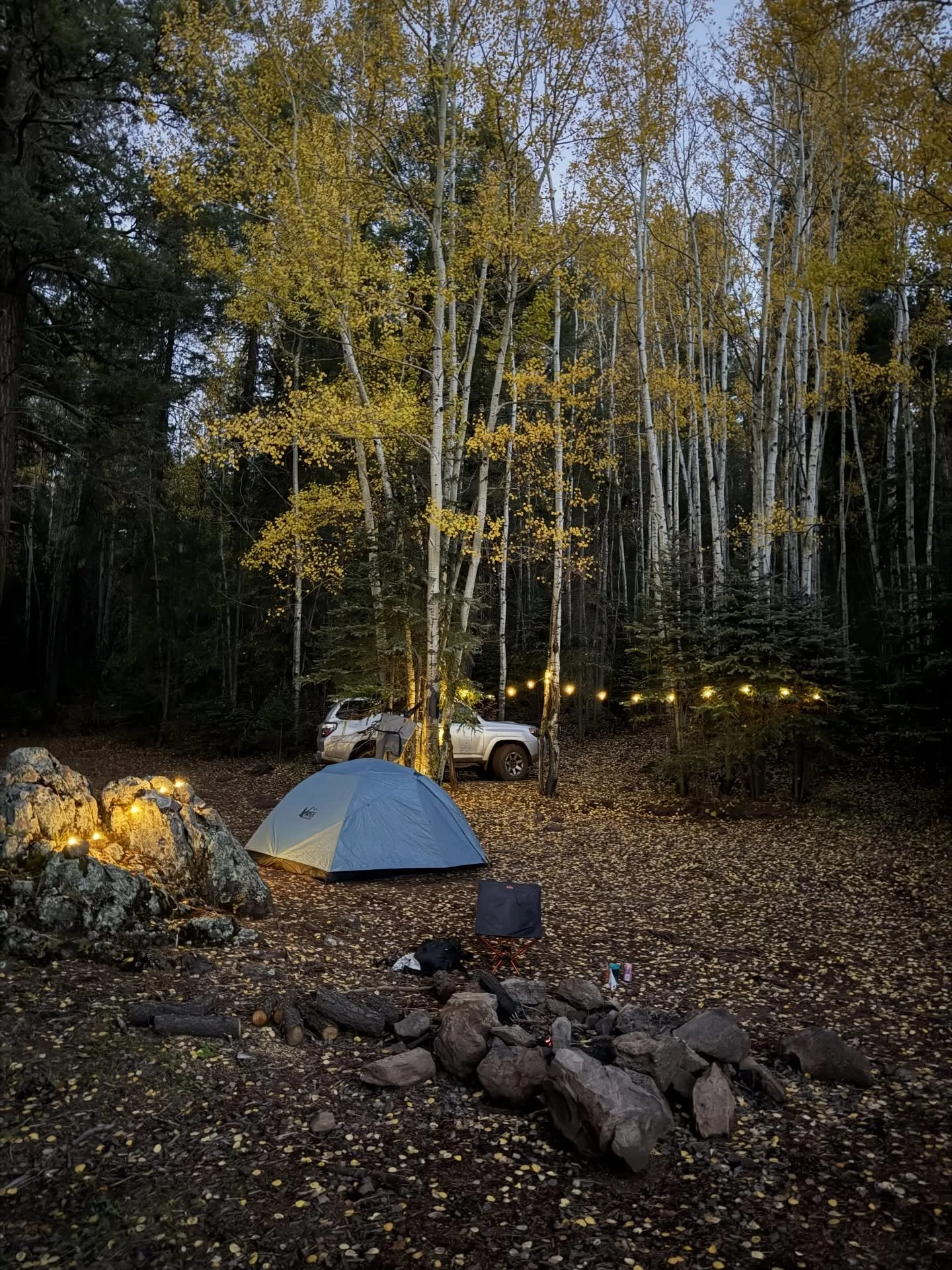 Loving these fall nights