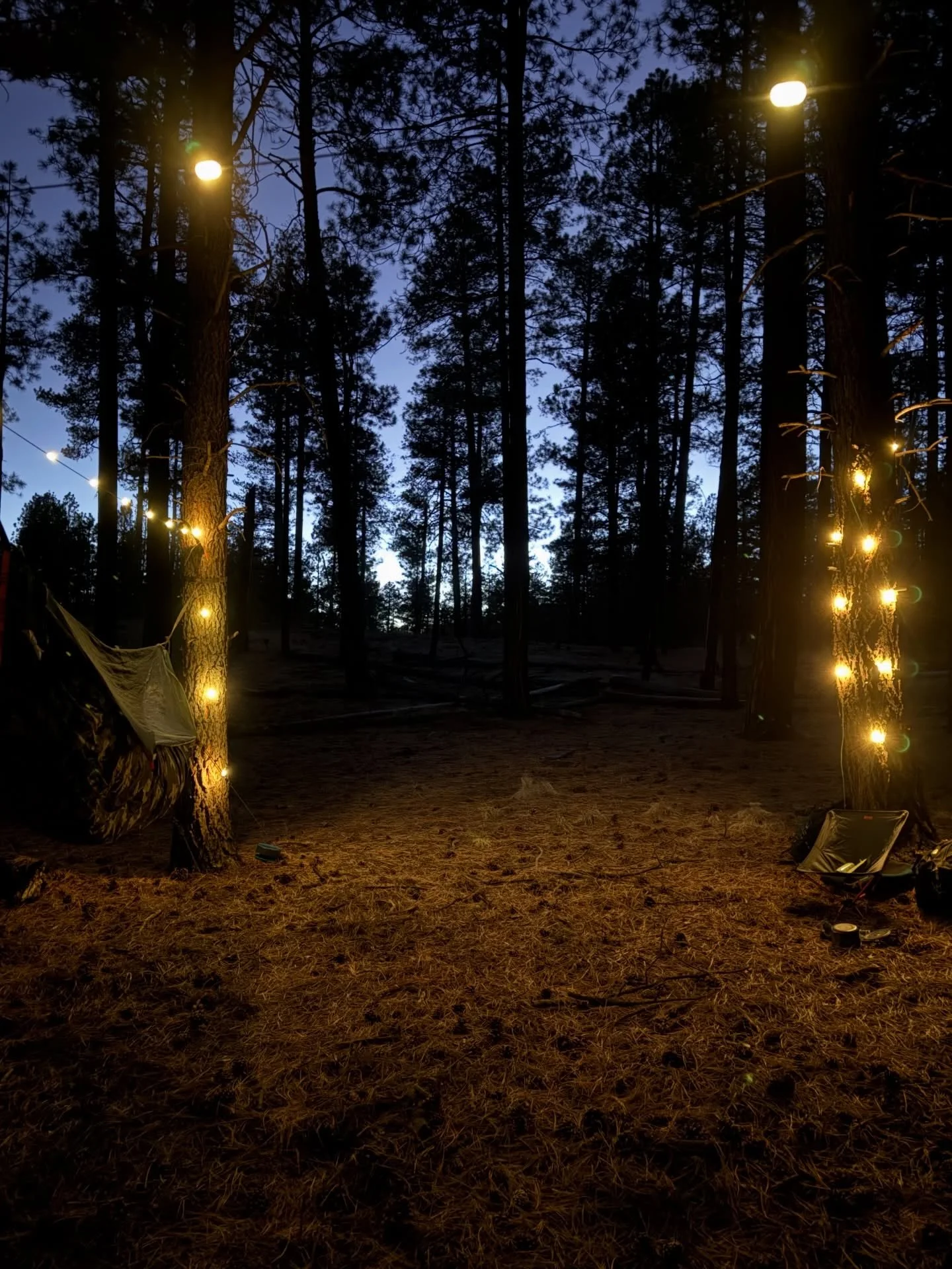 The woods were feeling a bit spooky on this very silent night, but a little mood lighting goes a long way. 

String lights from @biolite