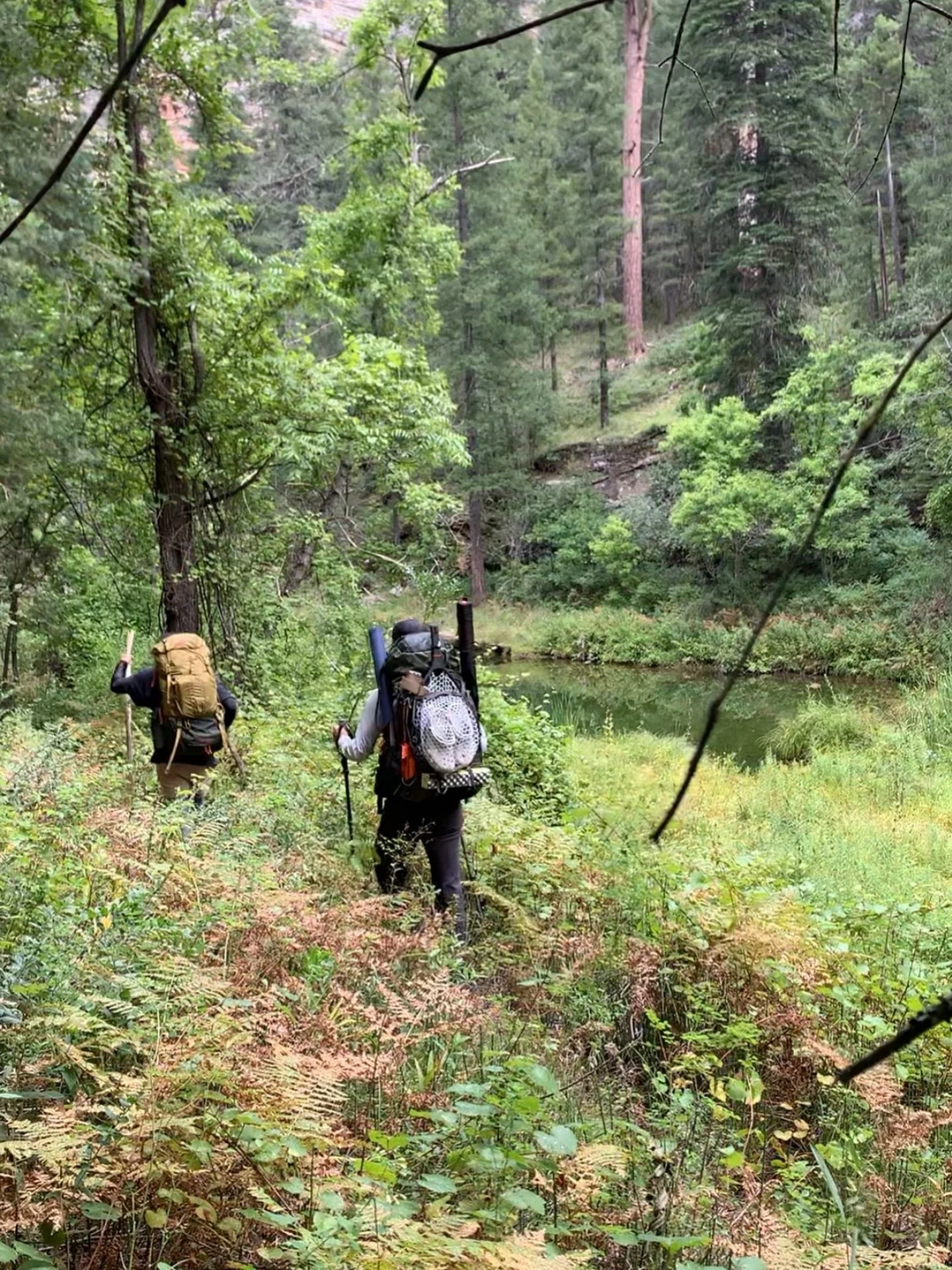 Price drop! Check the link in our bio for more info about our scheduled backpacking adventures. All levels welcome!

Mogollon Rim: March 20-22
Mogollon Rim: April 16-19
White Mountains: May 14-17