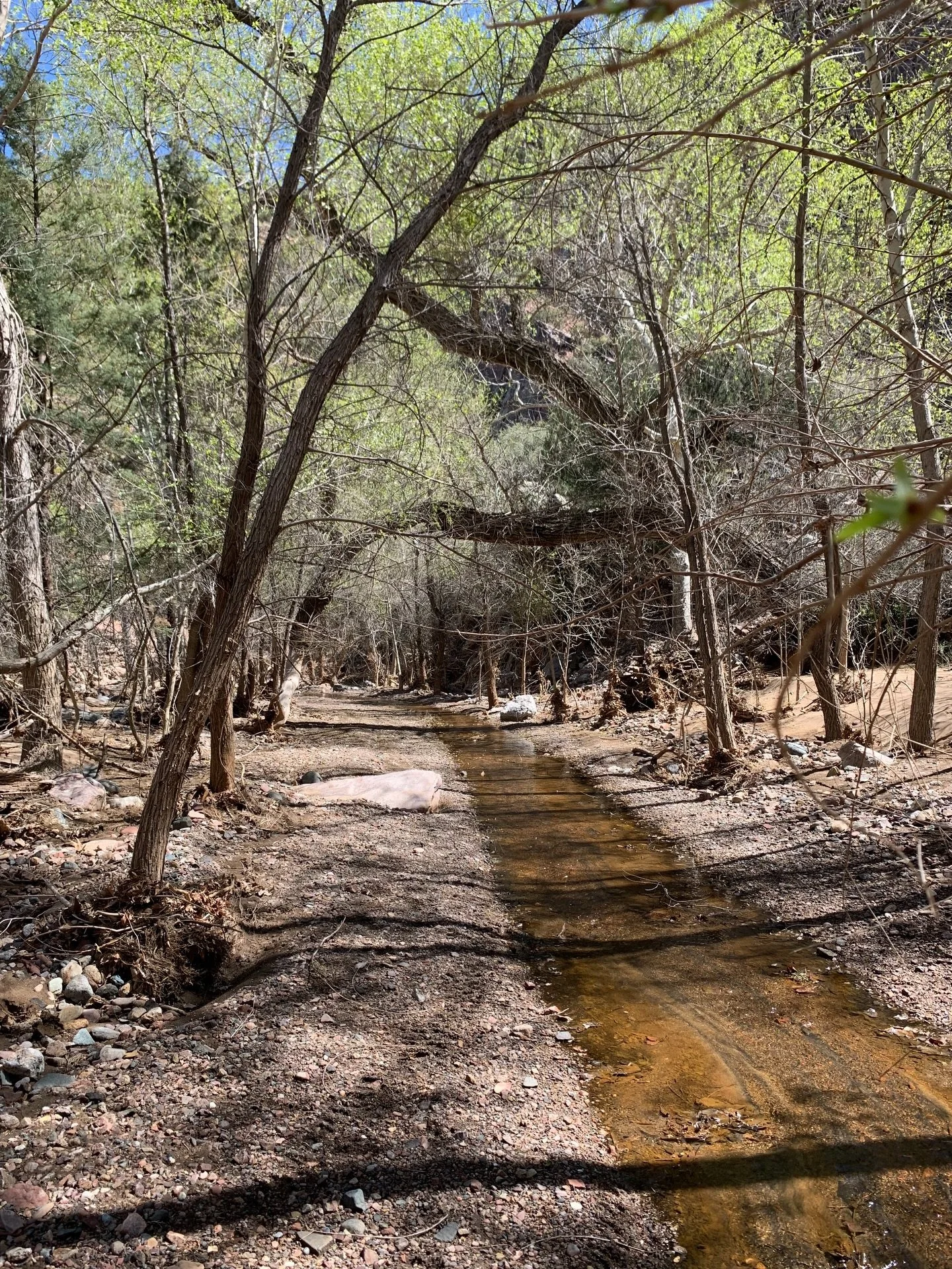 Big news! Backpack Arizona&rsquo;s application for outfitting and guiding on the Tonto National Forest has been accepted! This is a big deal and allows us to provide multi-day backcountry experiences year-round! 

The 2026 trip schedule will be annou