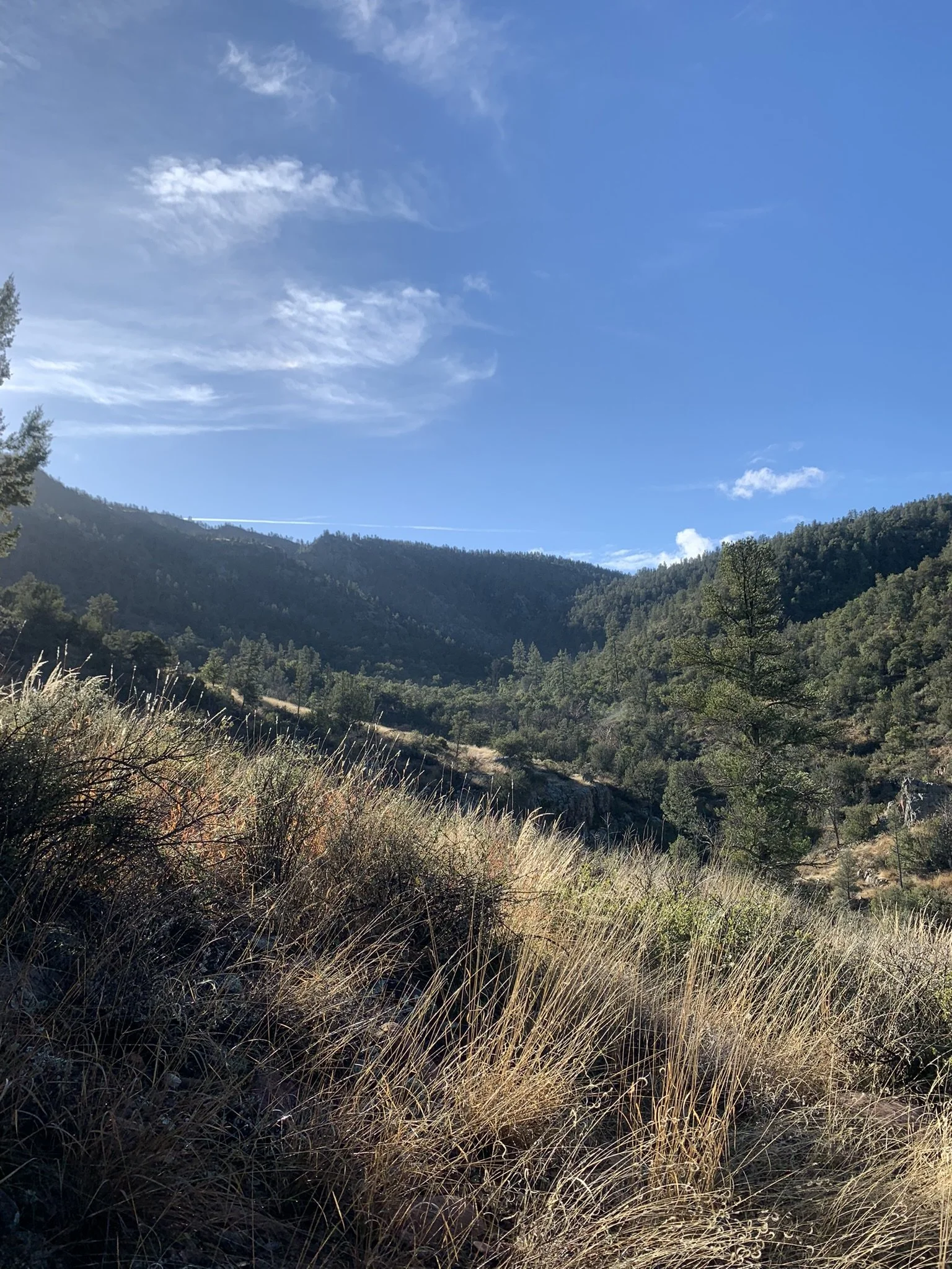 IMG_8977.JPEG