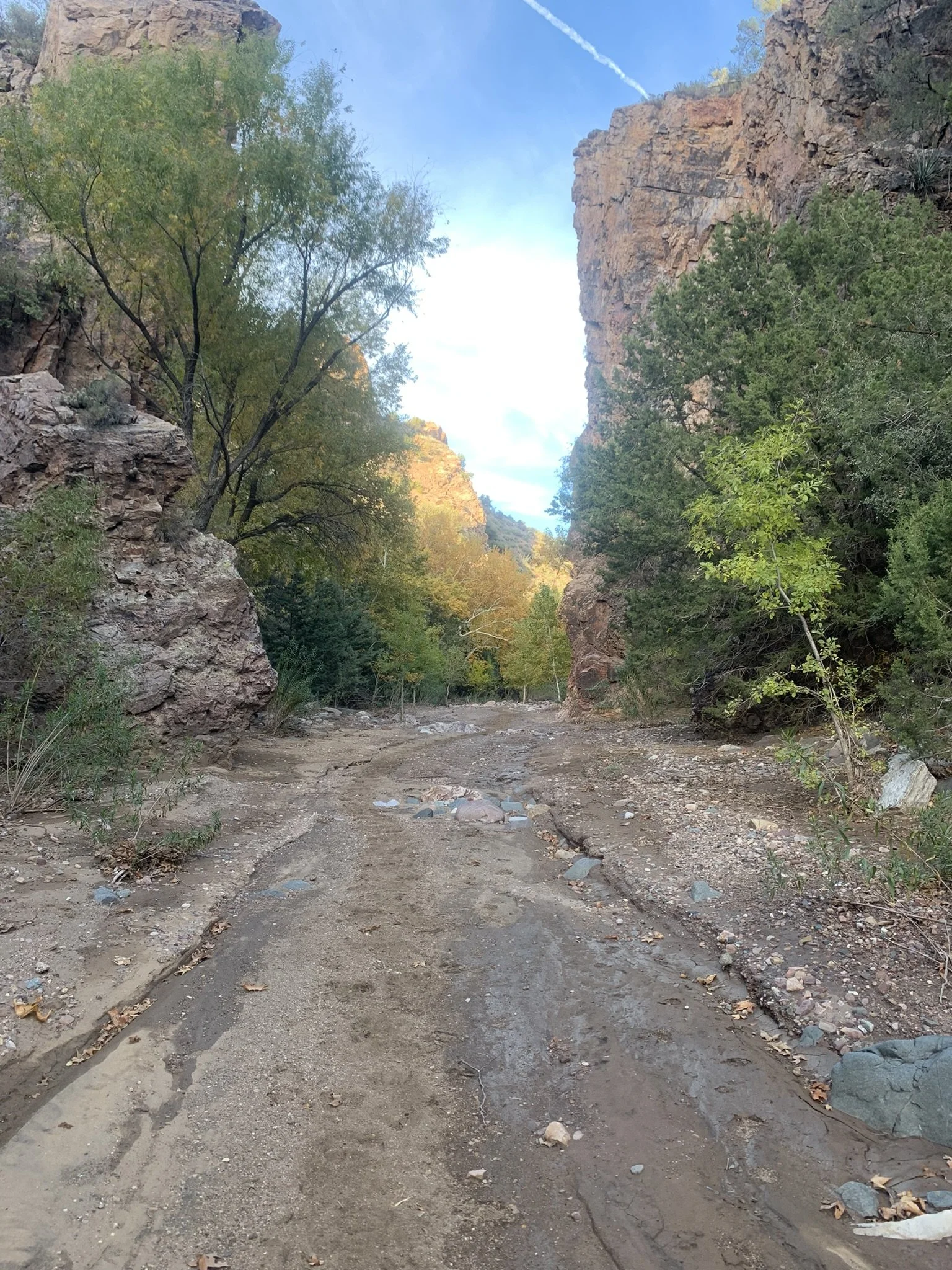 IMG_8617.JPEG