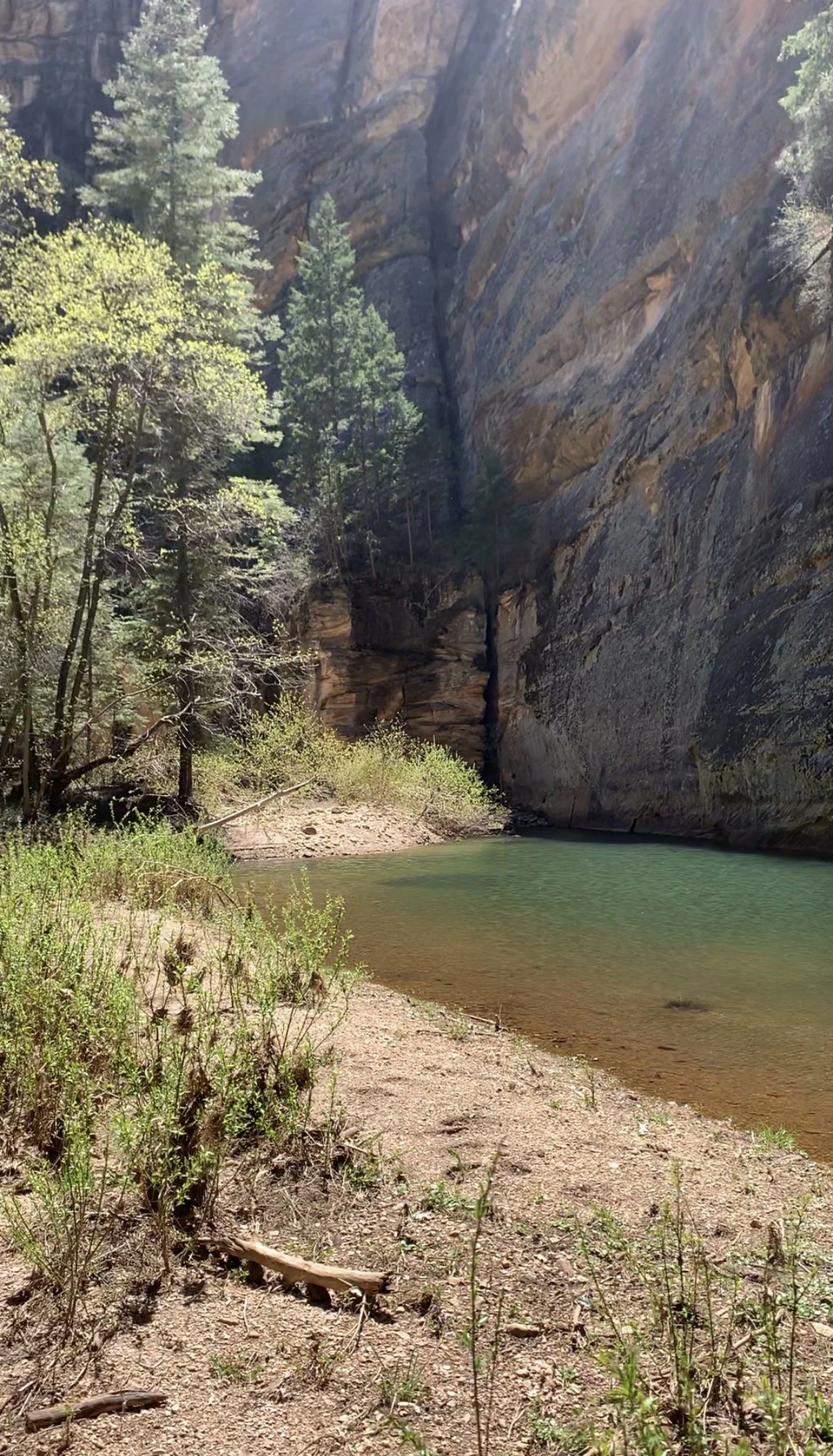 Mogollon Rim | 3 nights