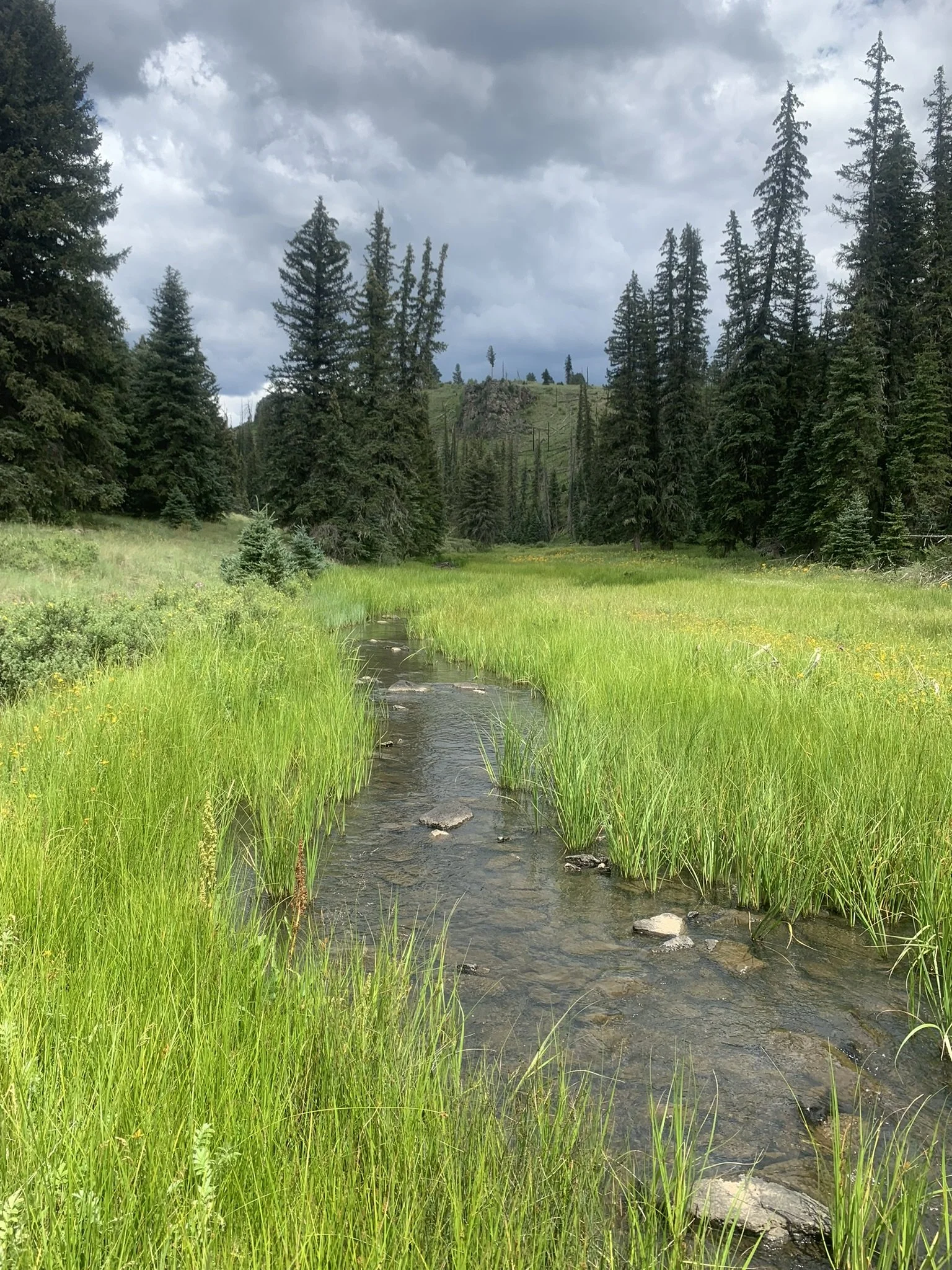 White Mountains | 3 nights (New route!)