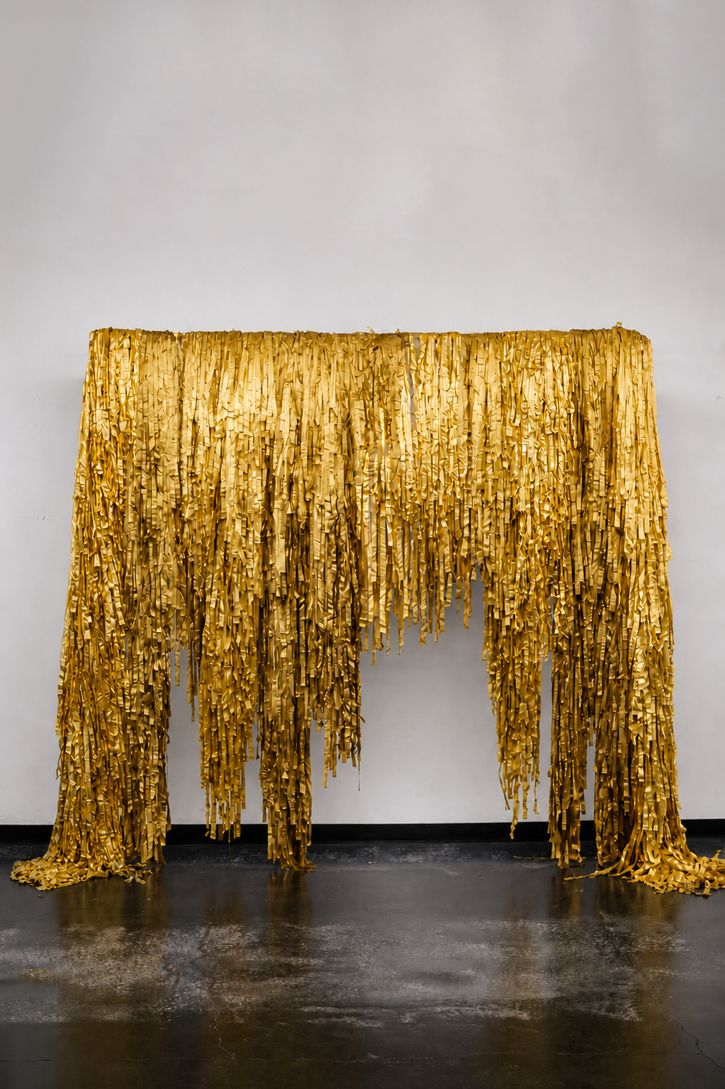 Gold fringe backdrop