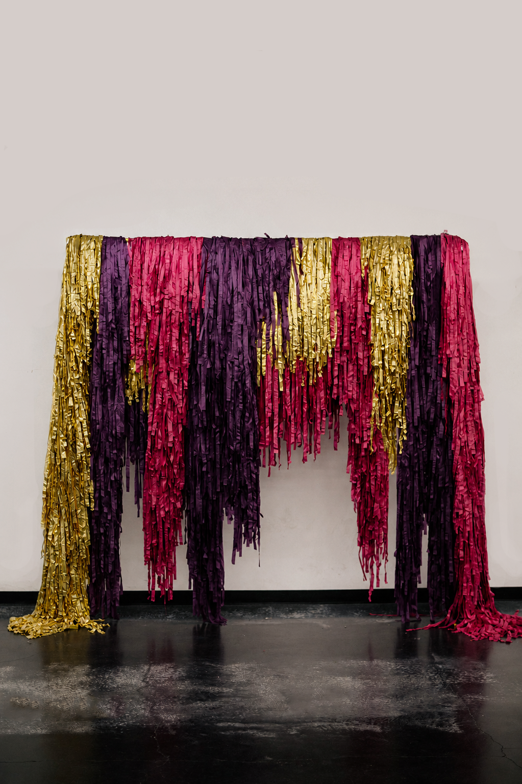 Fringe photo backdrop