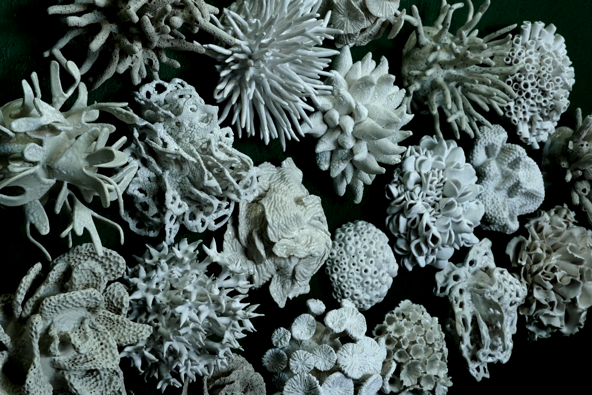 Coral Garden Wall Install