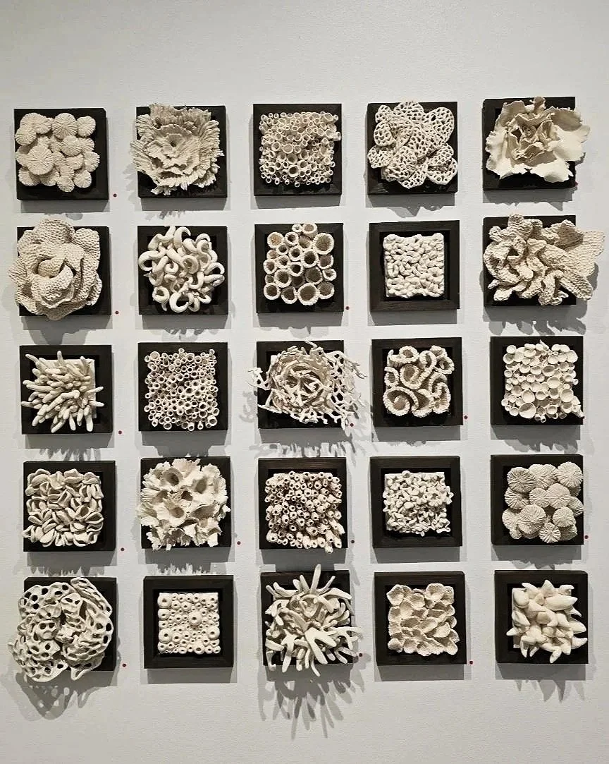 Coral Tile Wall Install