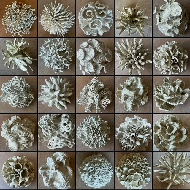 Coral Garden Hemispheres