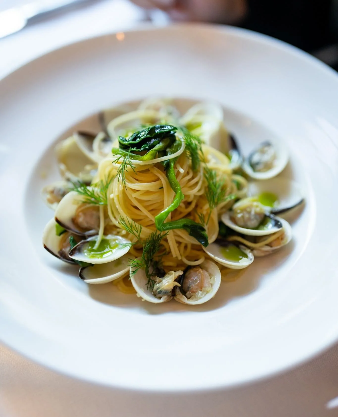 Spaghetti Salette ✓