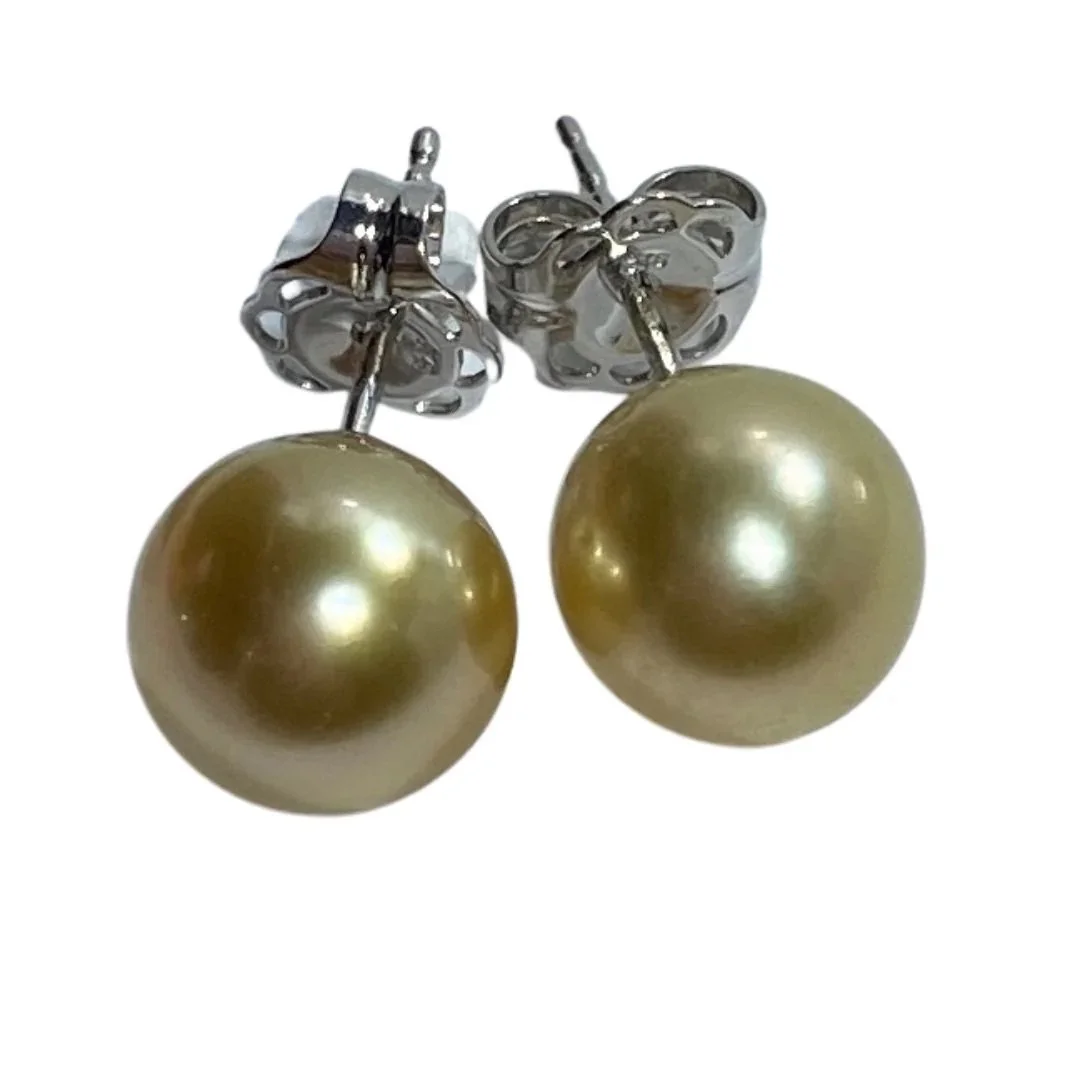 'Weeroona' Golden South Sea Pearl Studs