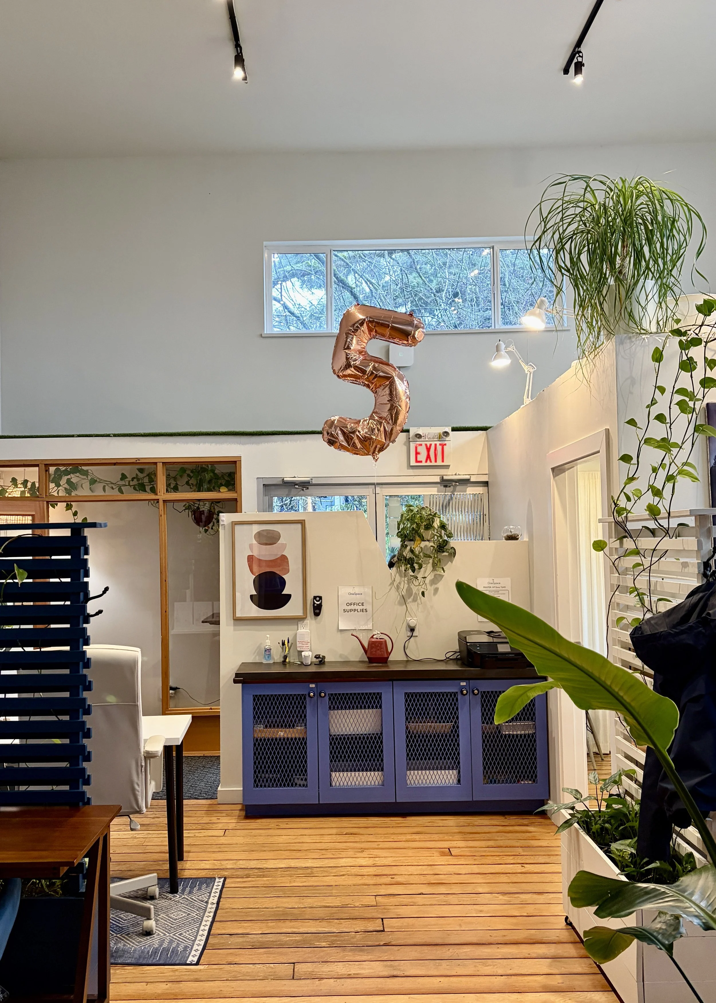 5 Things Harvard Business School Won’t Teach you about Entrepreneurship Perseverance