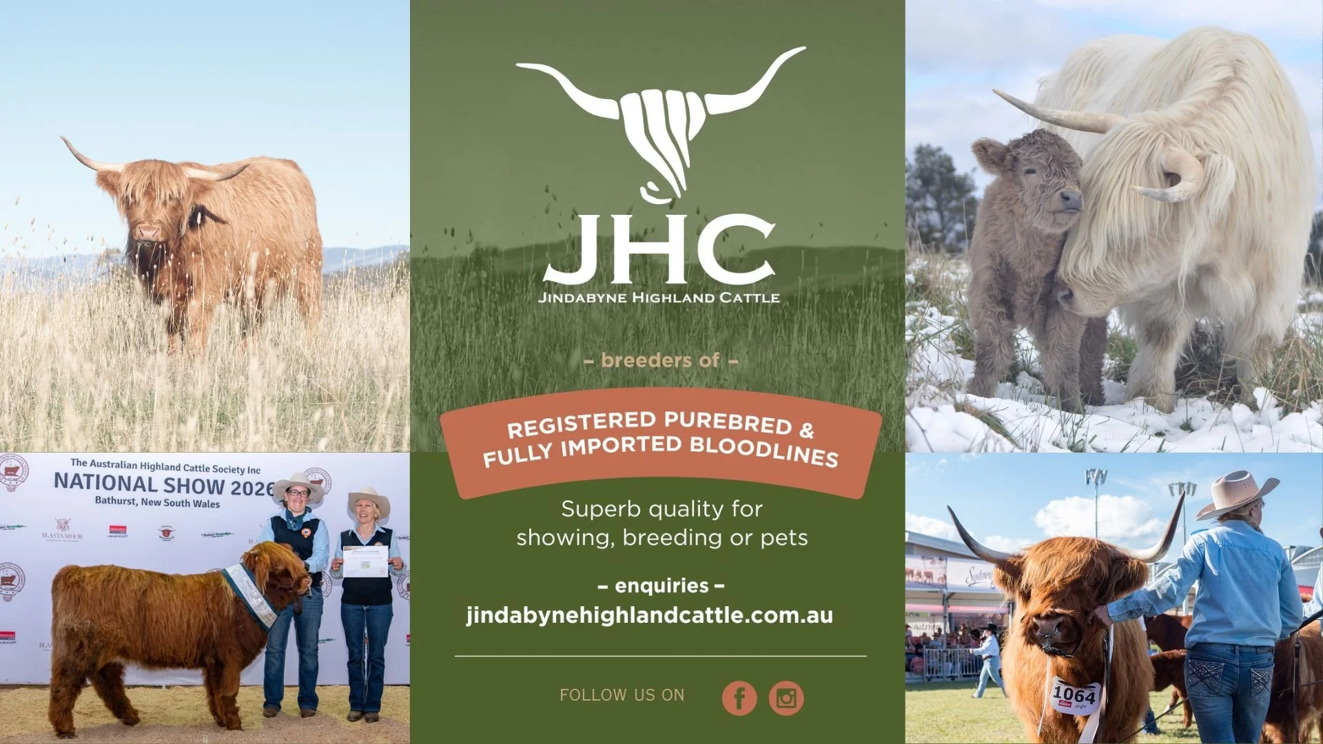Website Banner Ad AHCS and NSW Breeders Gr.jpg