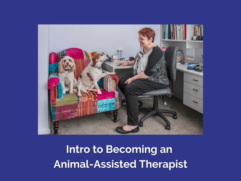 12 Points Training Professional Development Intro to AAI